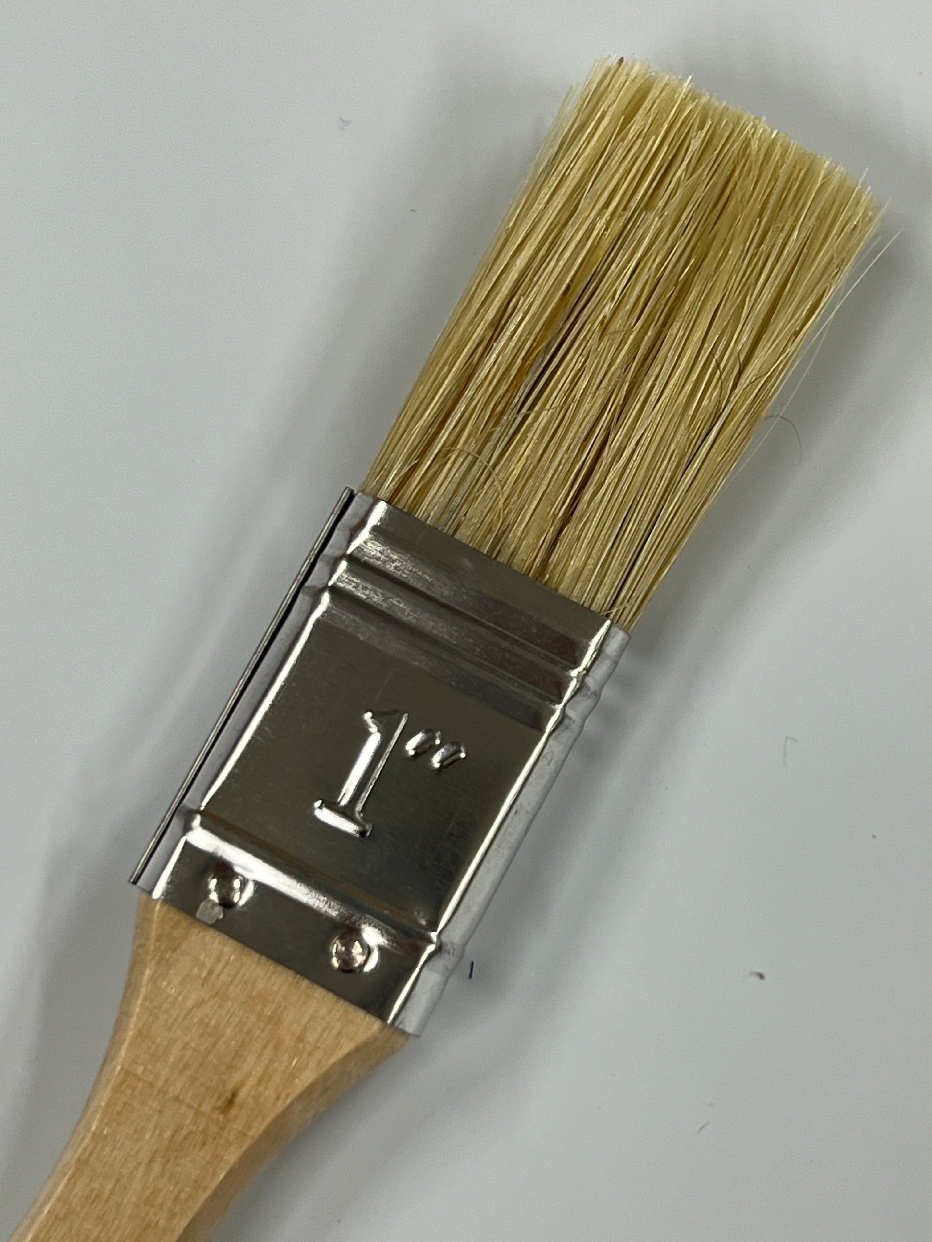 Brush for glue, varnish and paint - Affordable brush