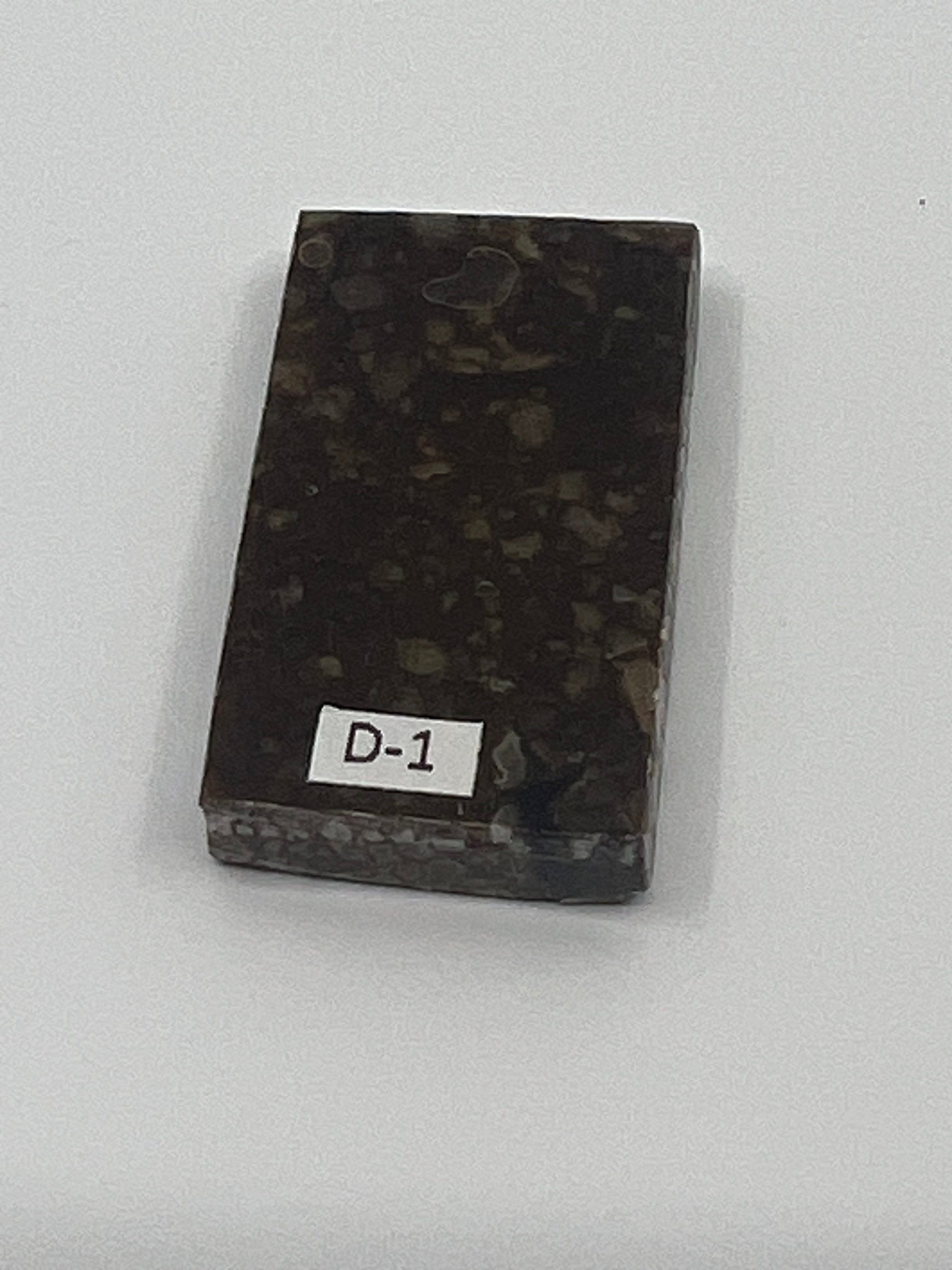 Dinosauriefossil D1
