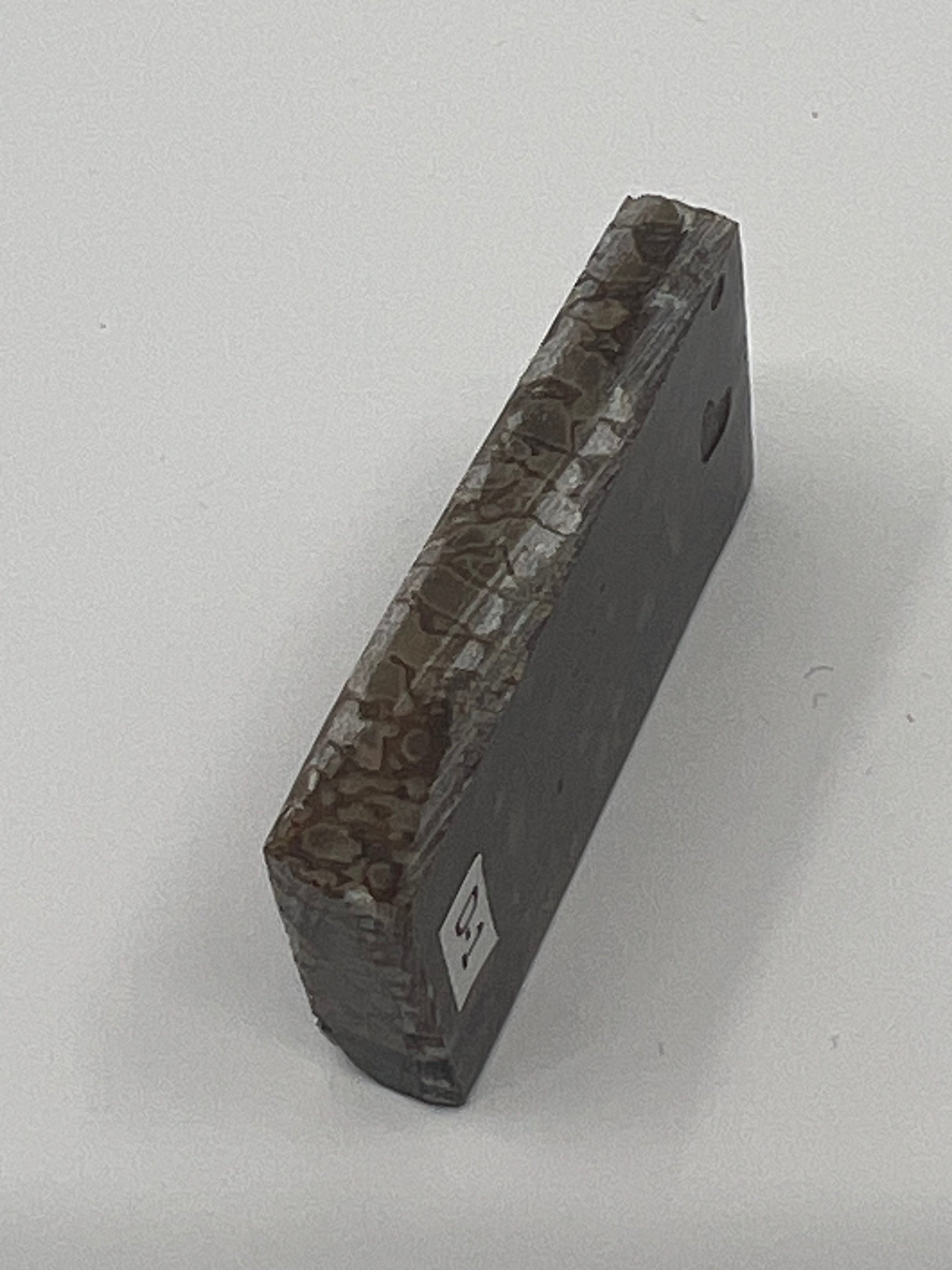 Dinosauriefossil D1