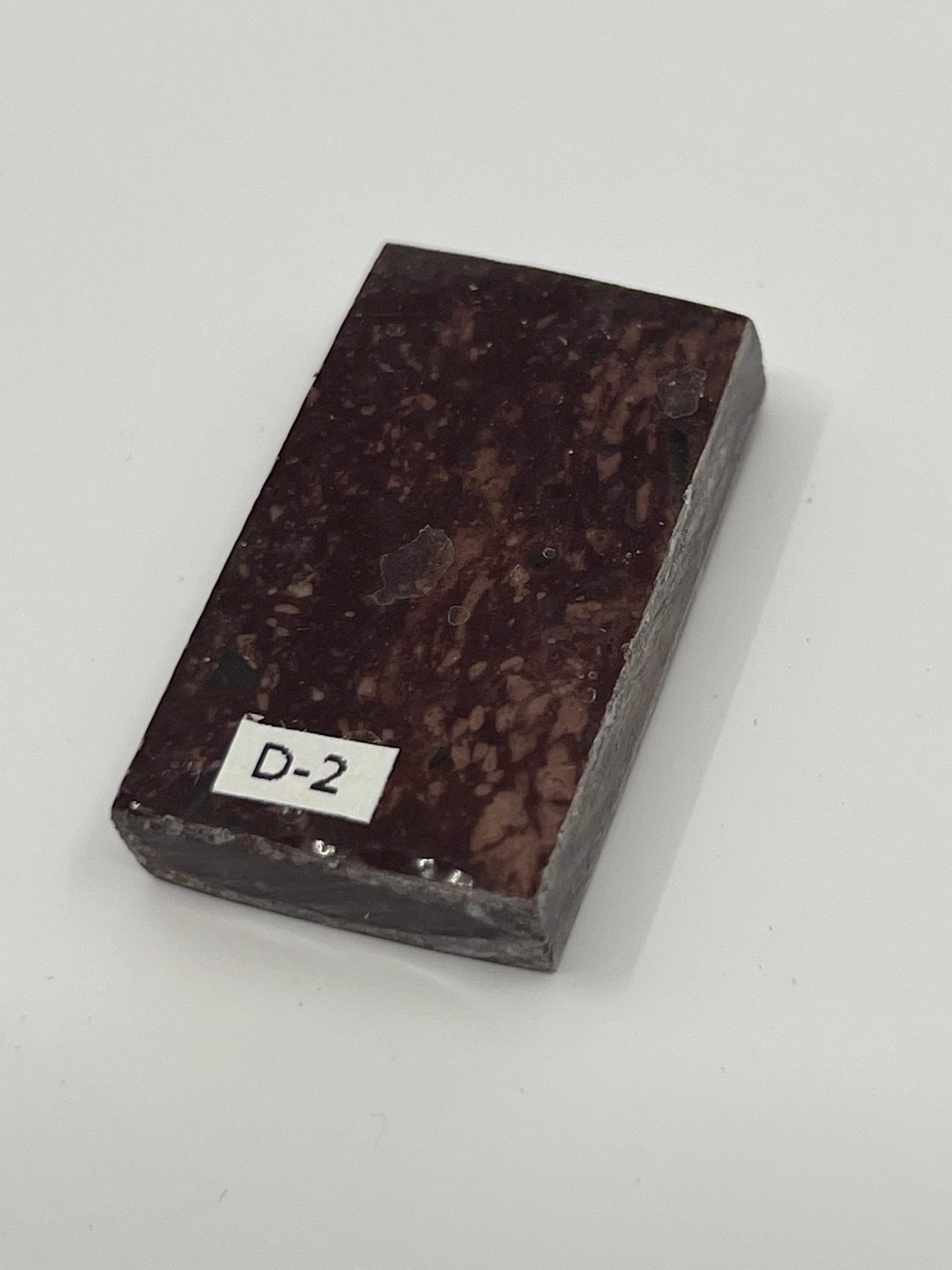 Dinosauriefossil D2