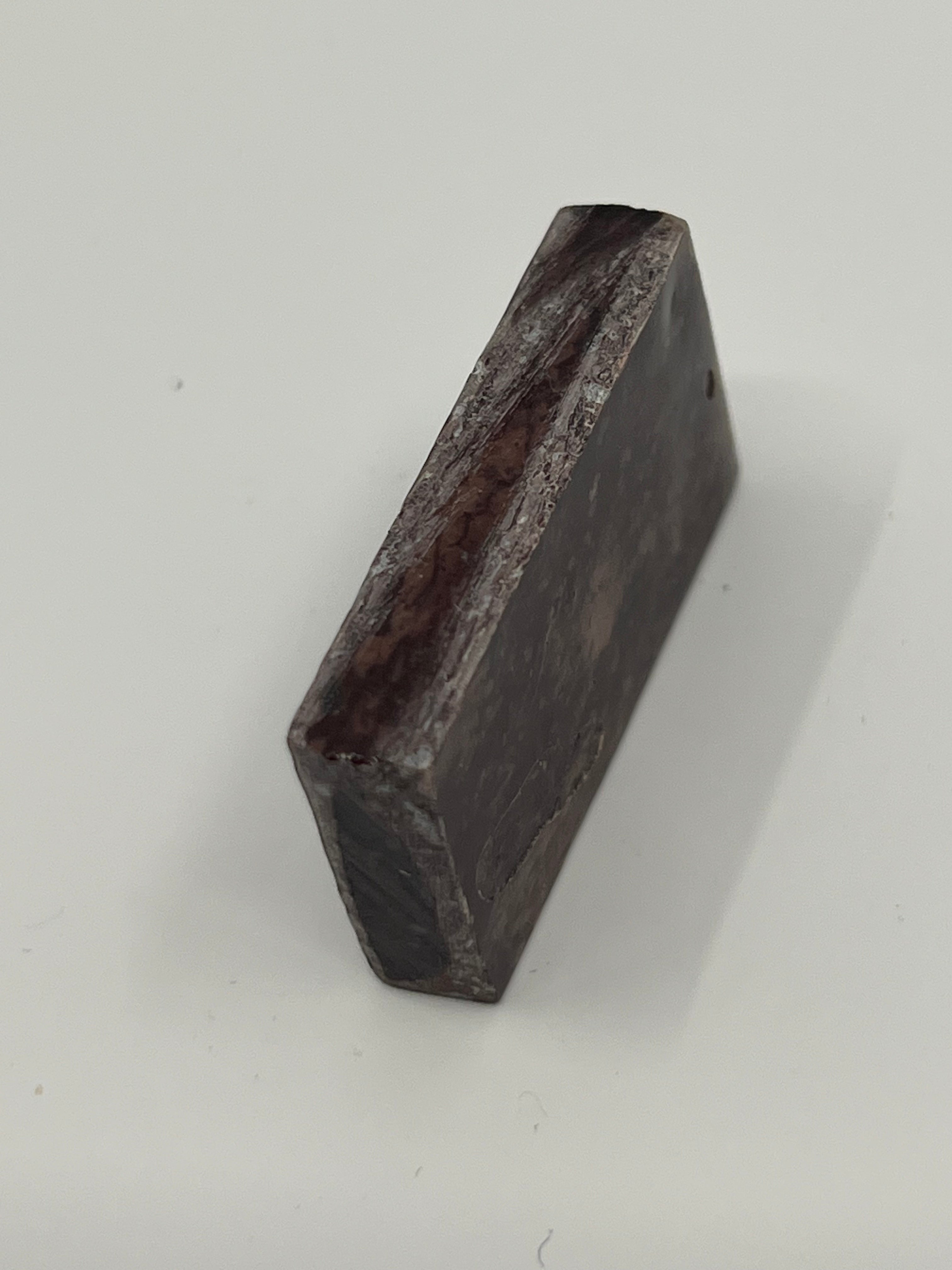 Dinosauriefossil D2
