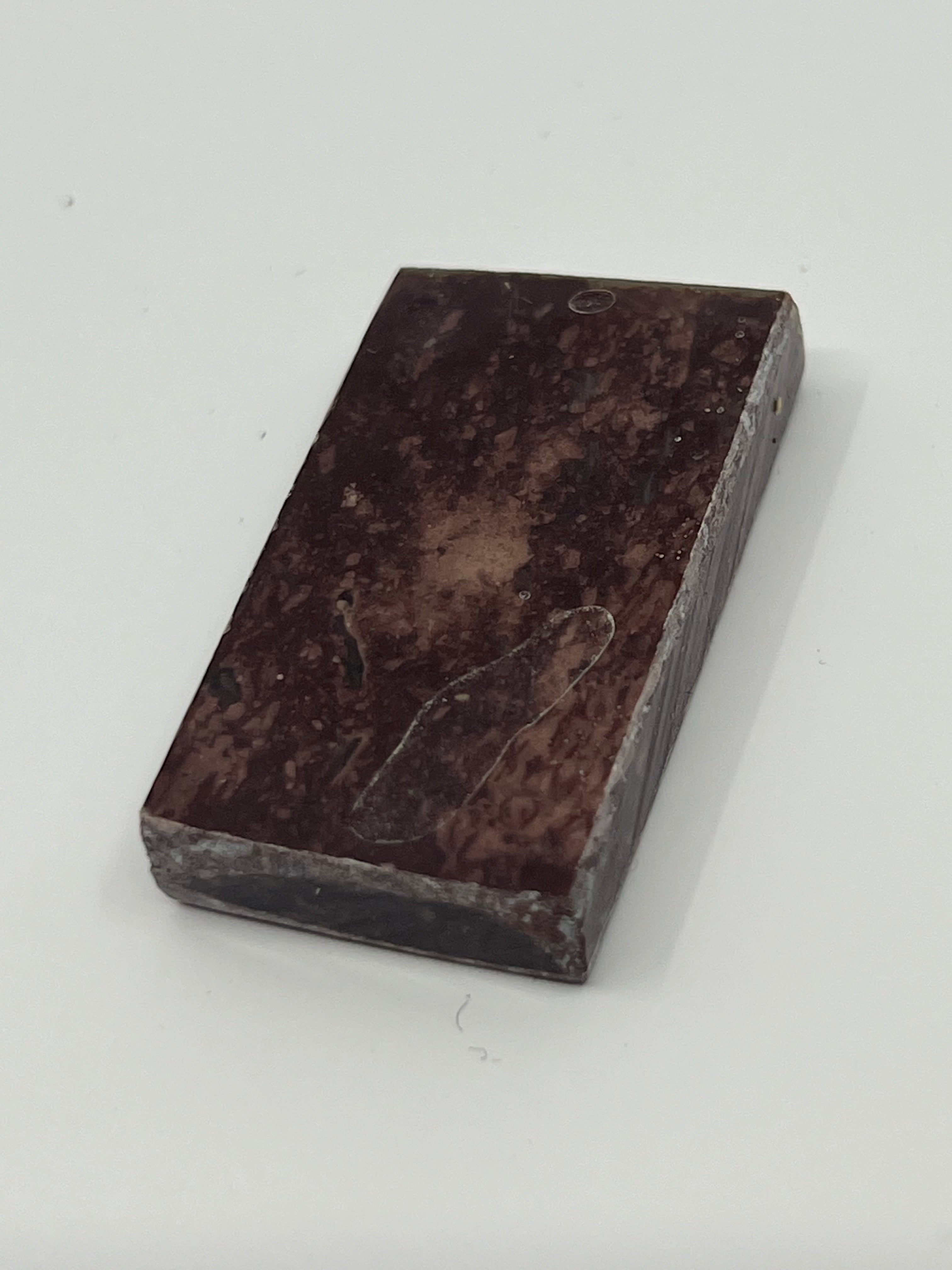 Dinosauriefossil D2