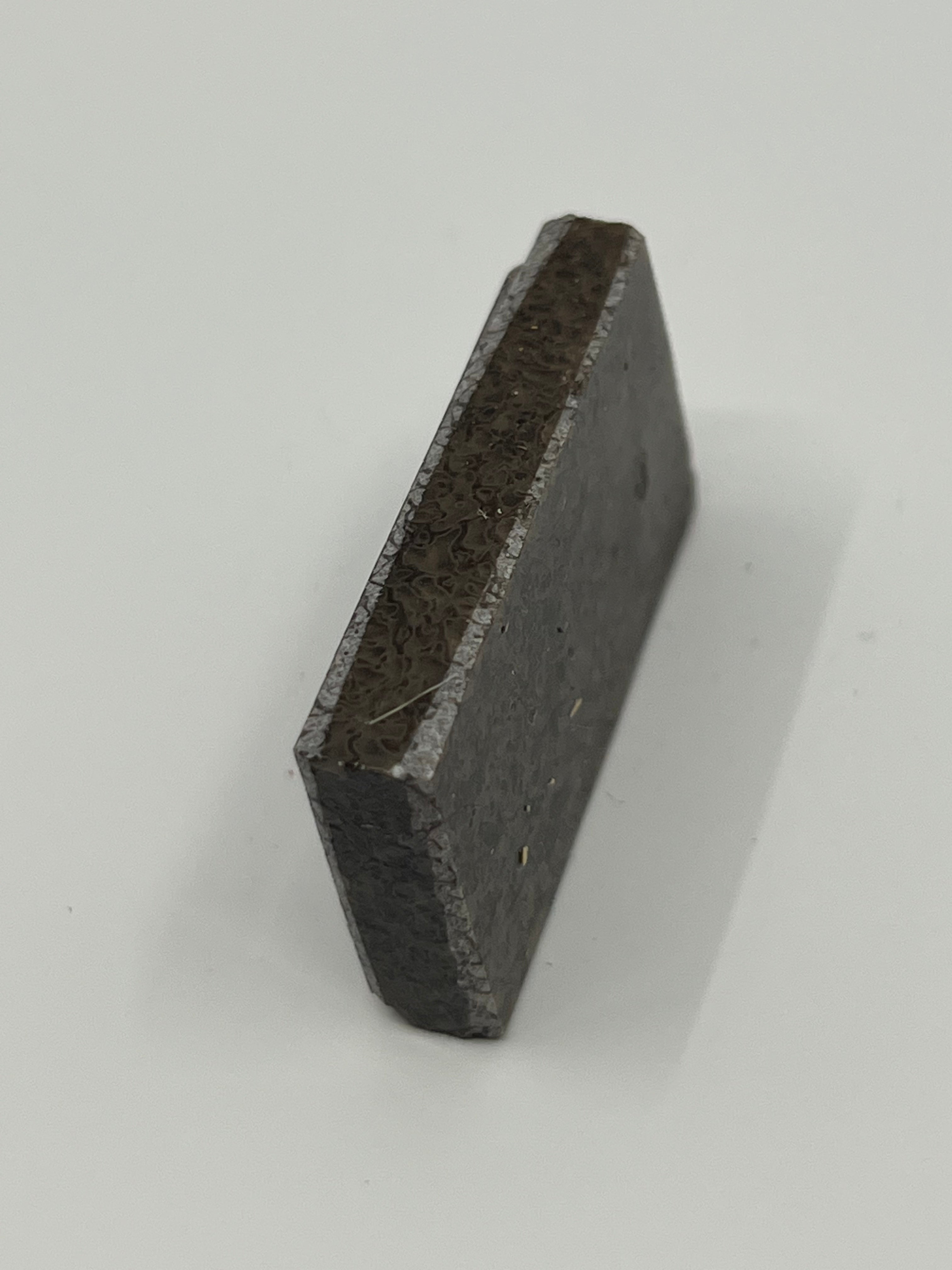 Dinosauriefossil D3