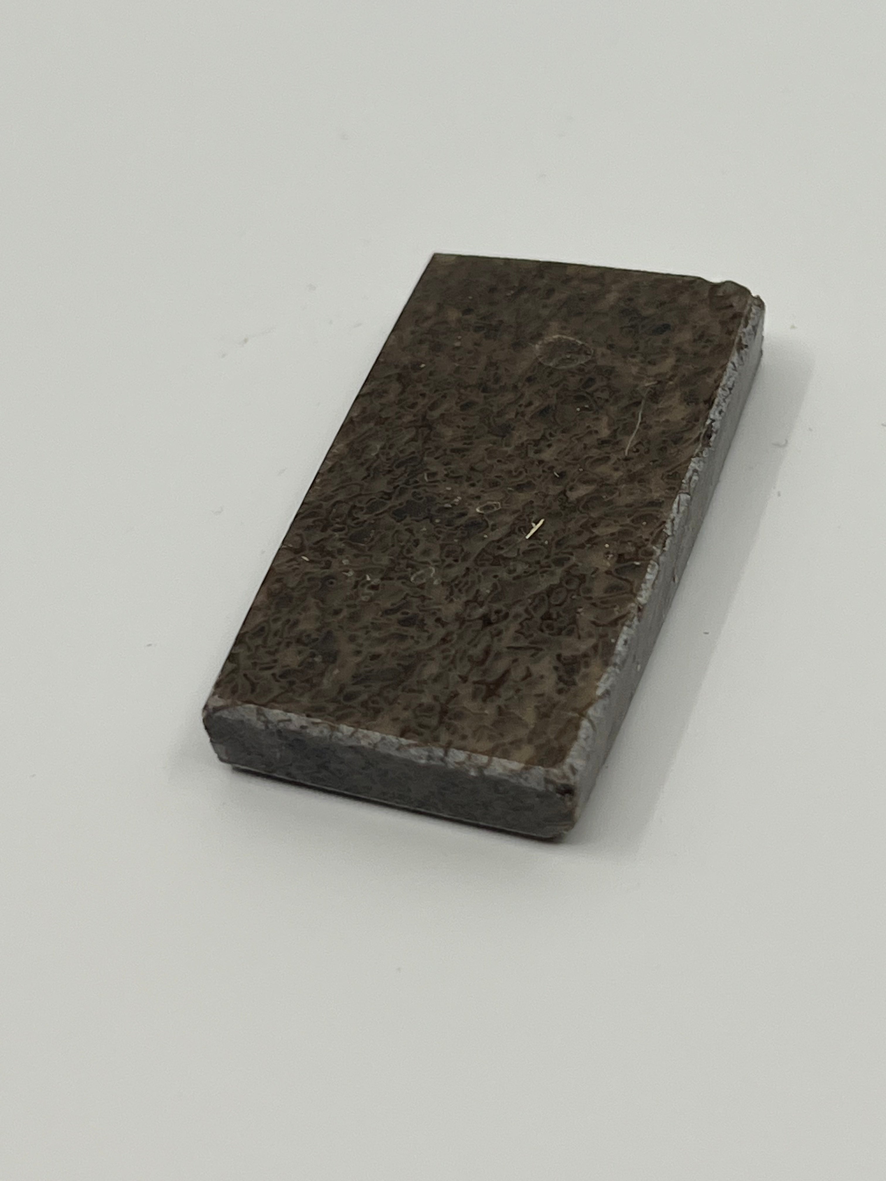 Dinosauriefossil D3