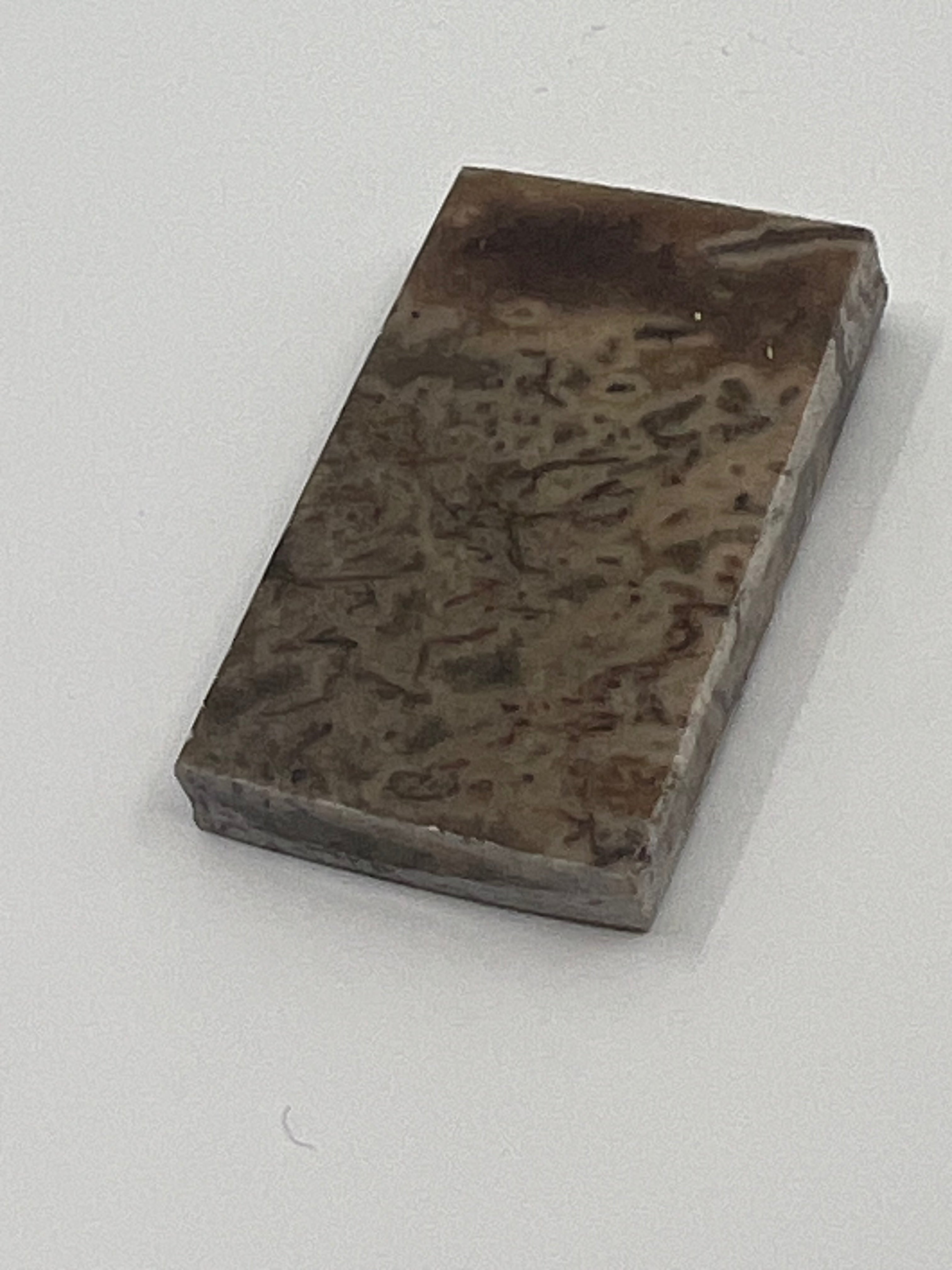 Dinosauriefossil D4