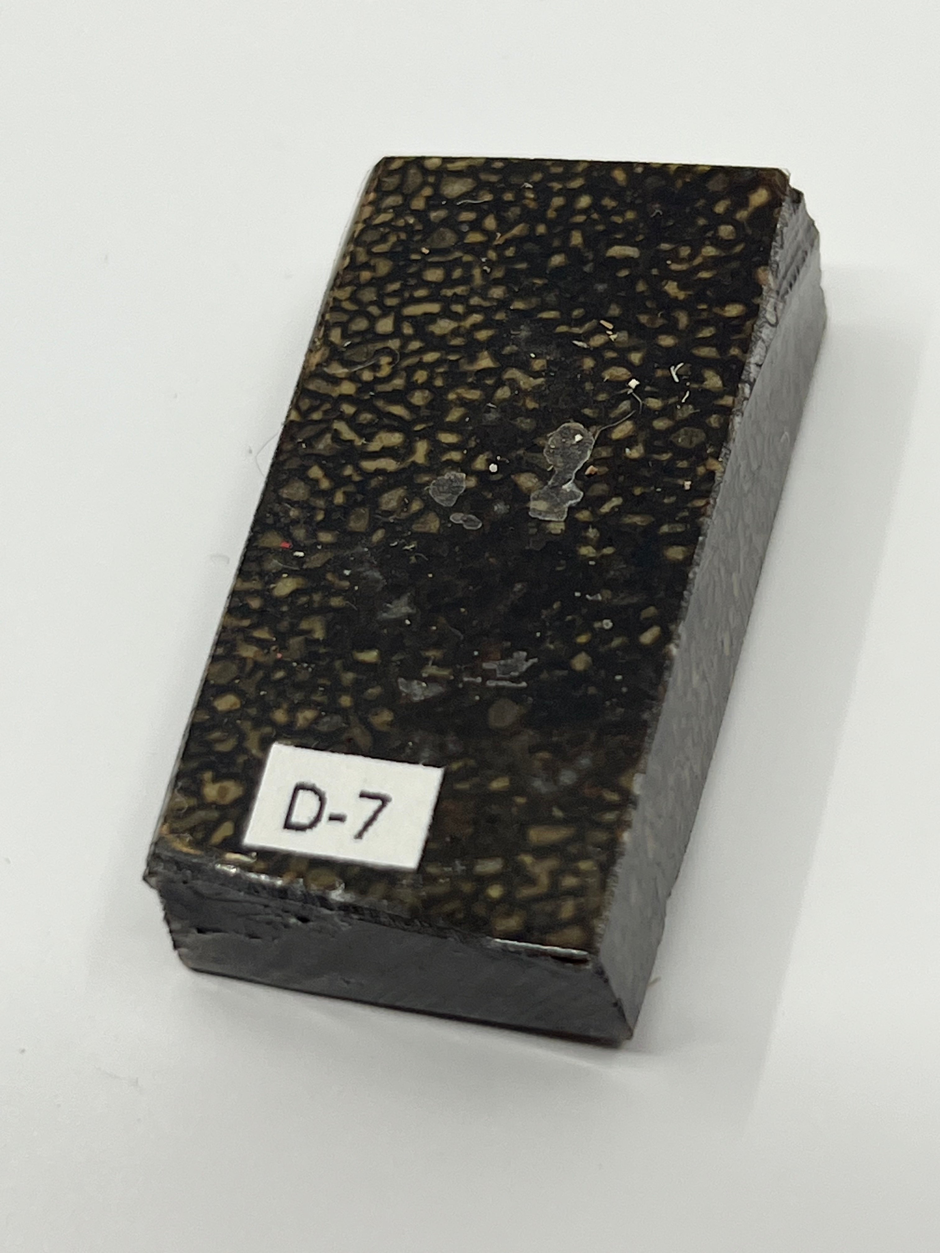 Dinosauriefossil D7