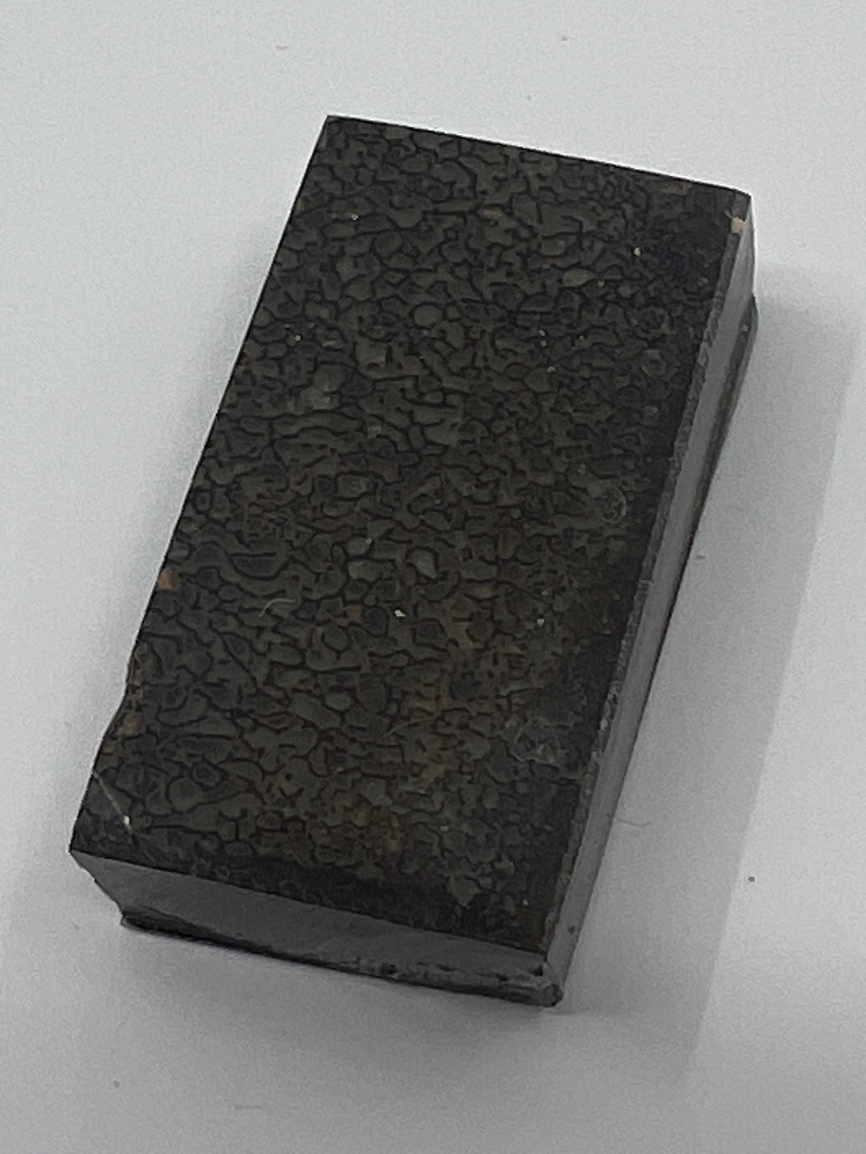 Dinosauriefossil D7