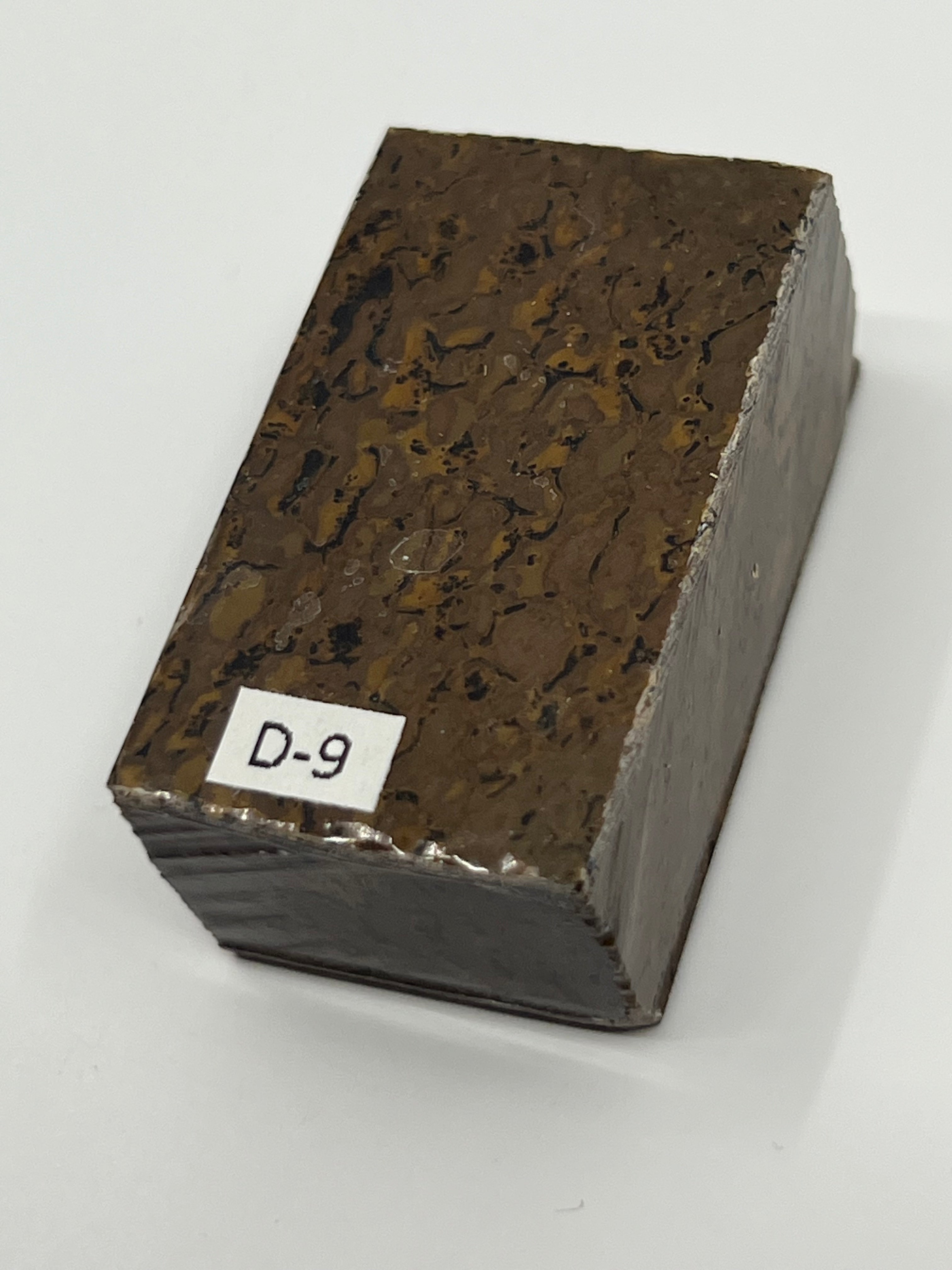 Dinosauriefossil D9