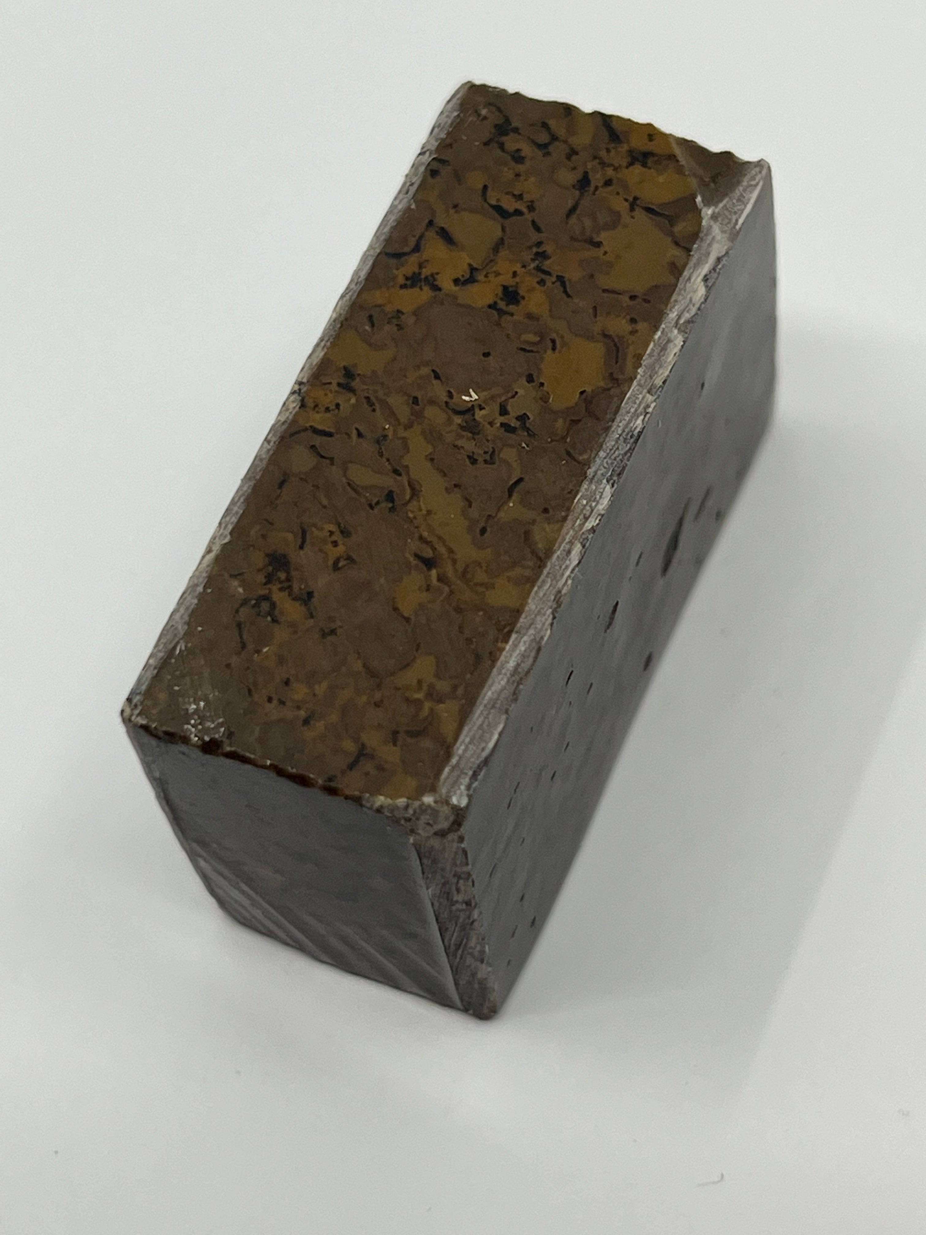 Dinosauriefossil D9