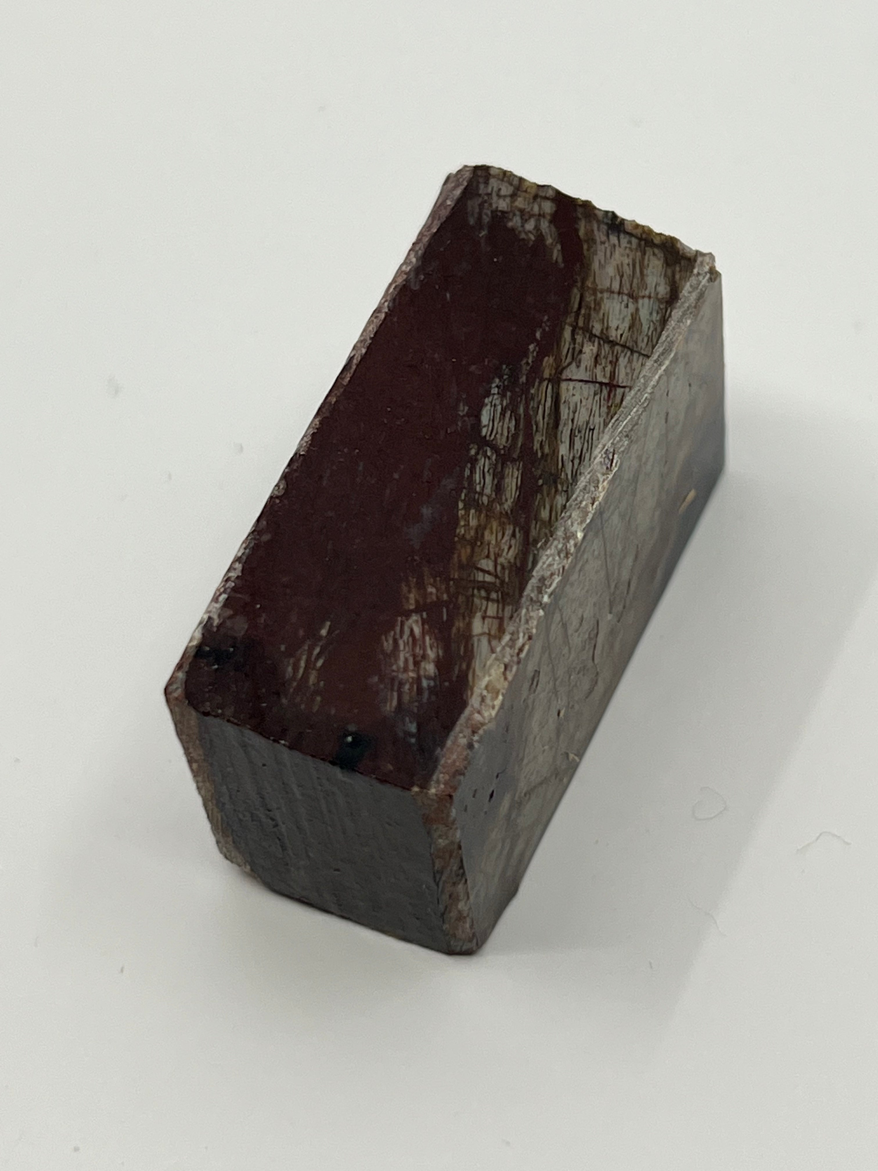 Dinosauriefossil D10