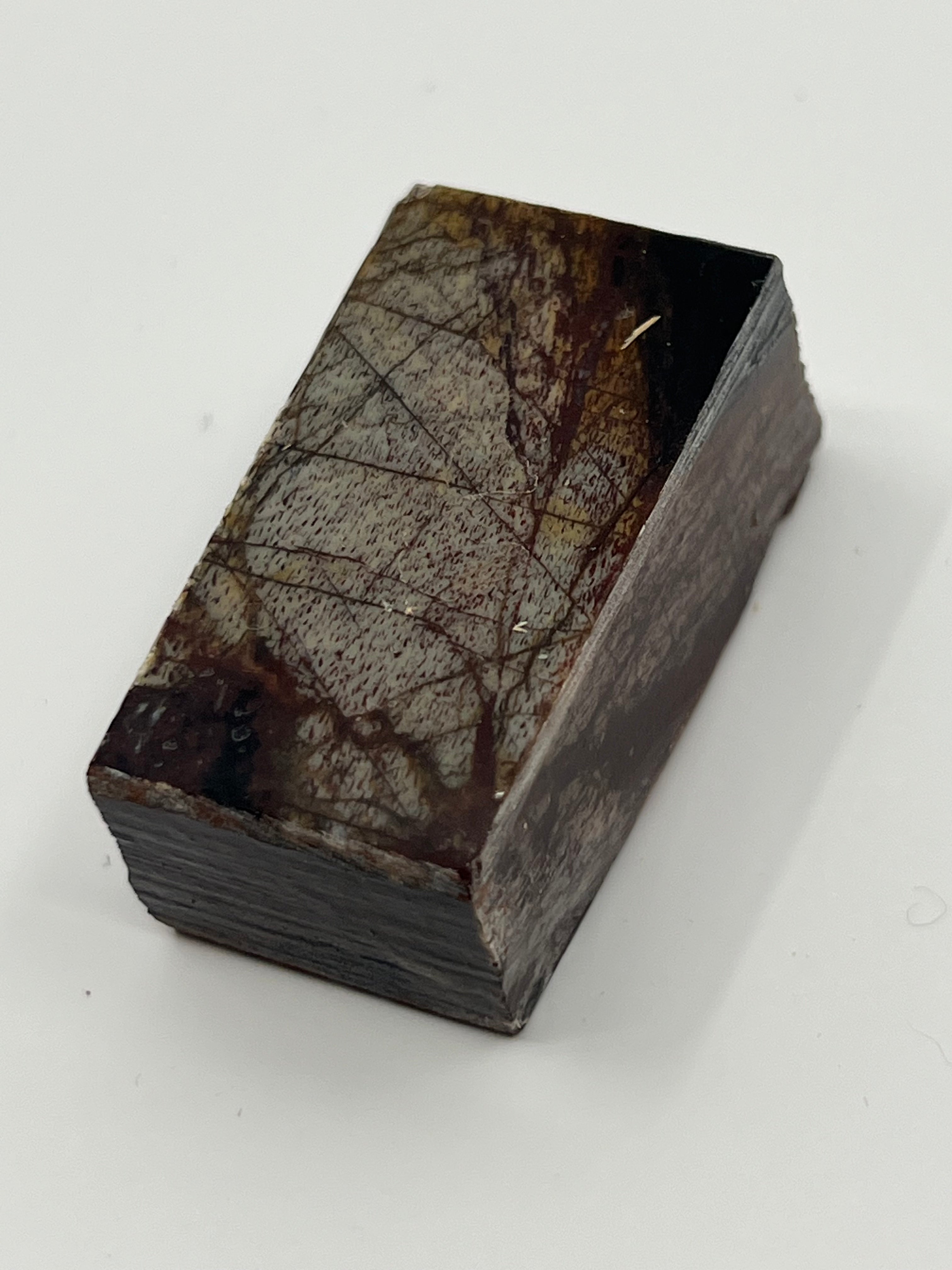 Dinosauriefossil D10