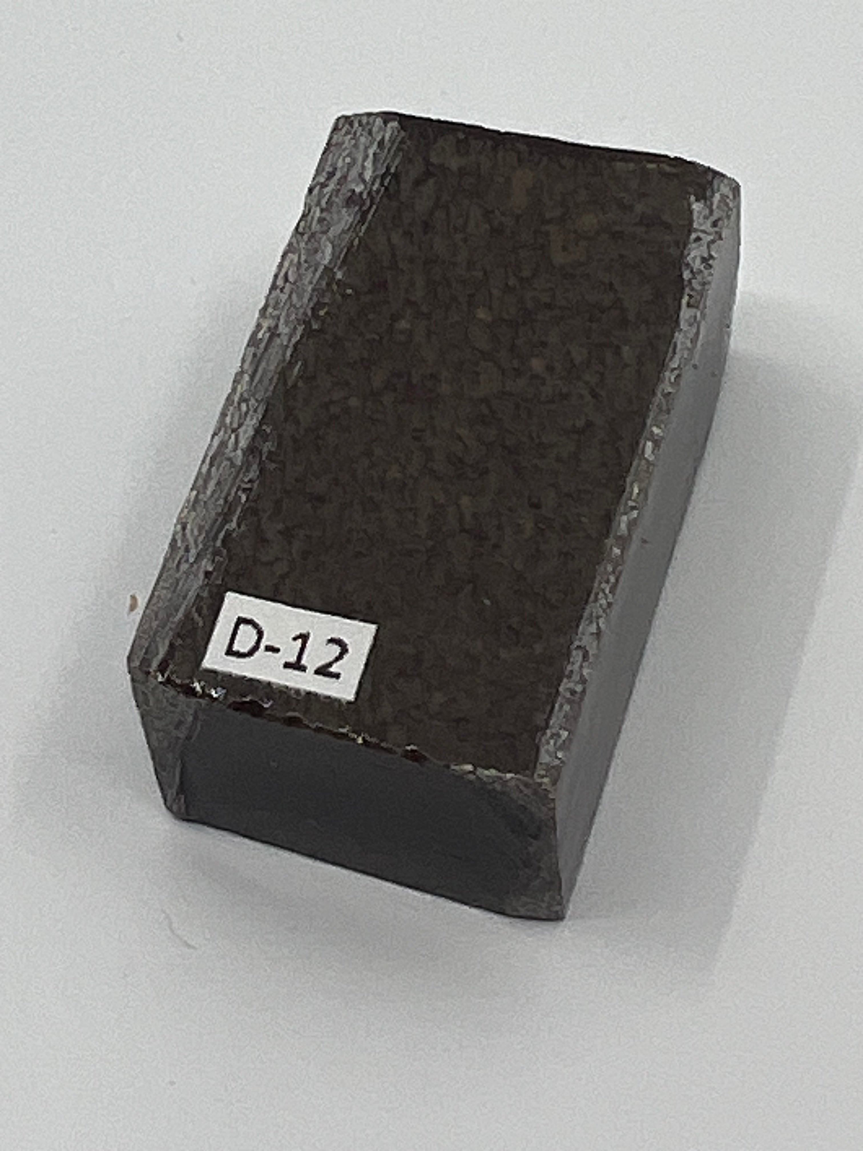 Dinosauriefossil D12