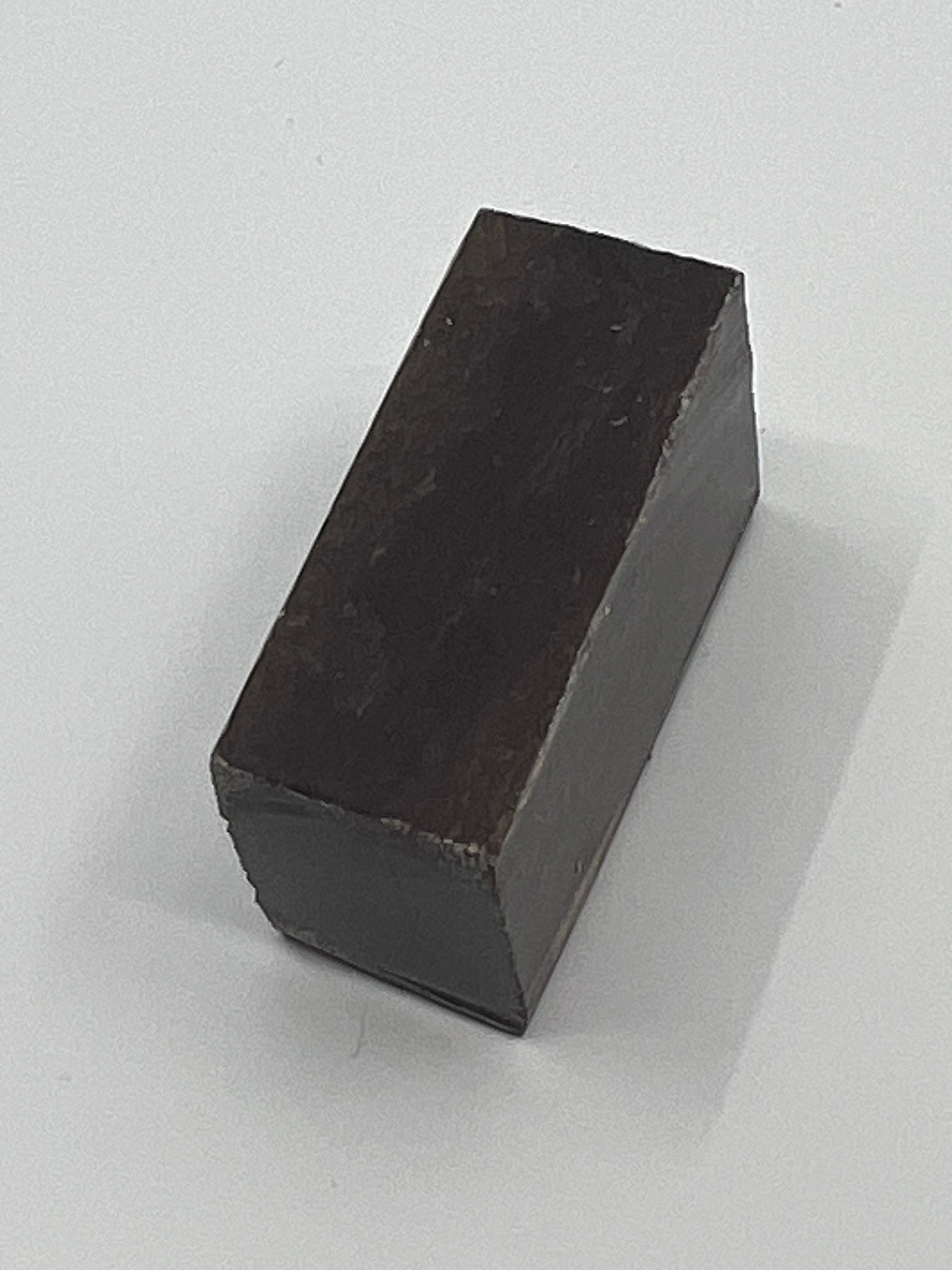 Dinosauriefossil D12