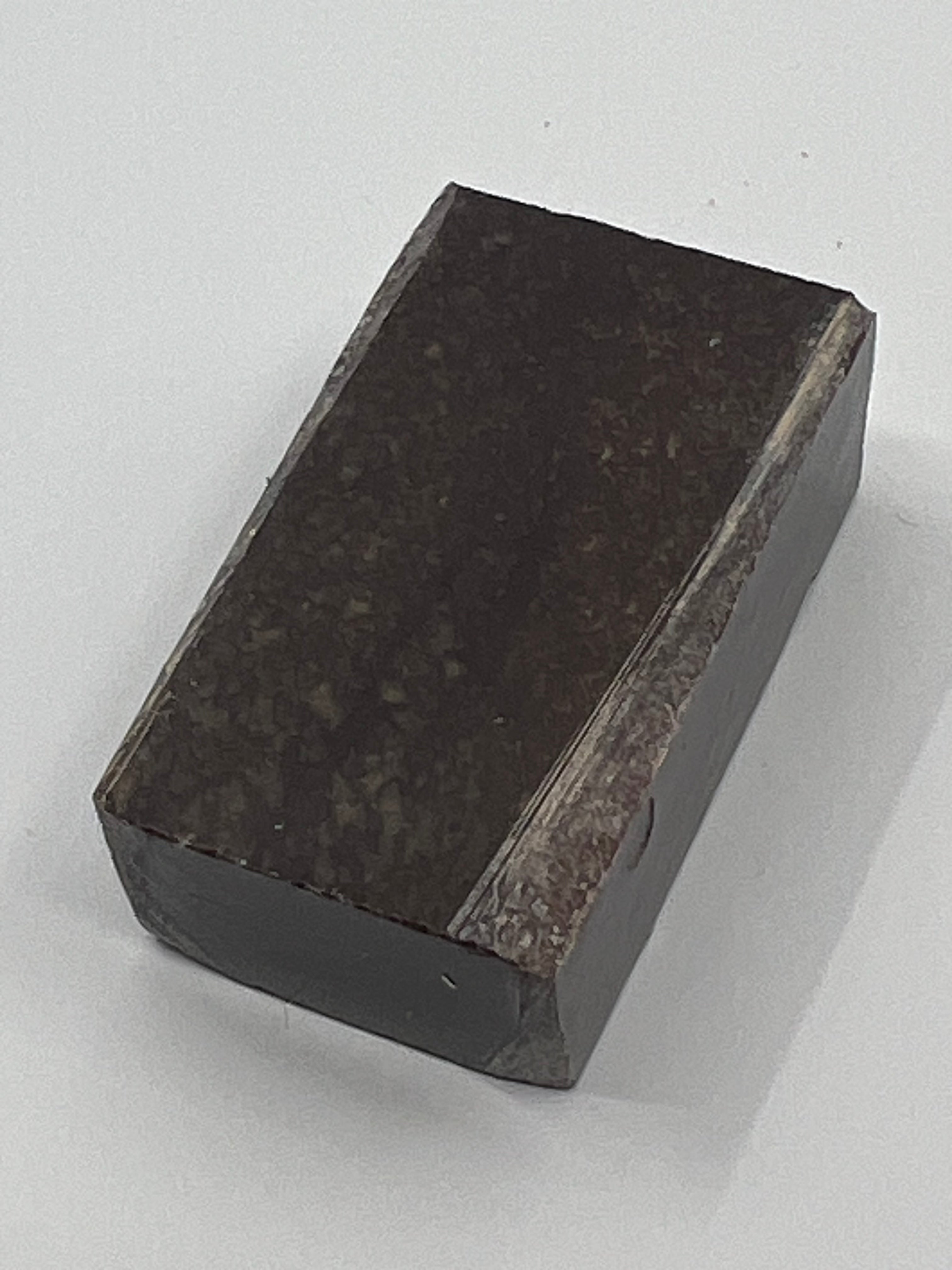 Dinosauriefossil D12