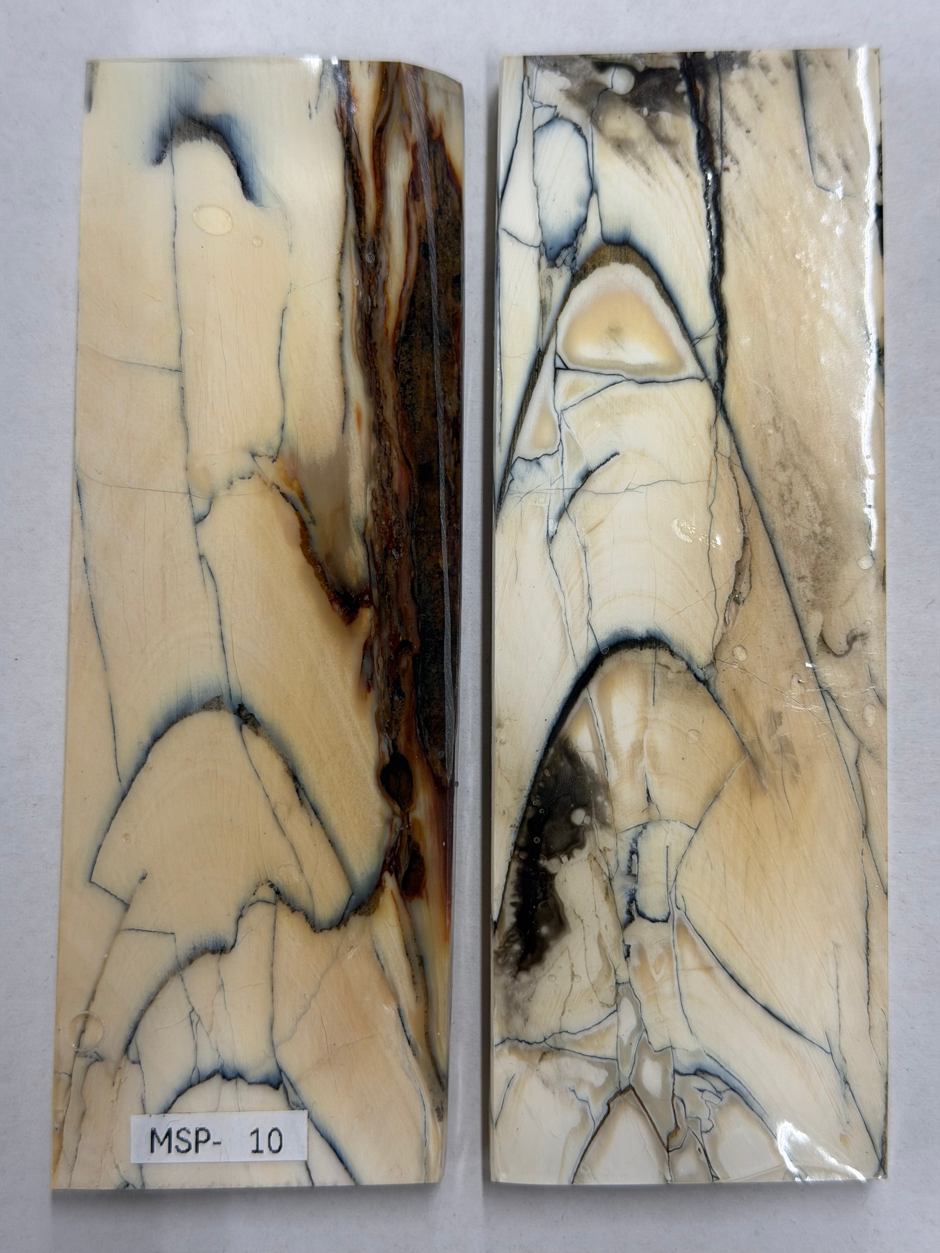 Mammut støttann skaftplater MSP-10