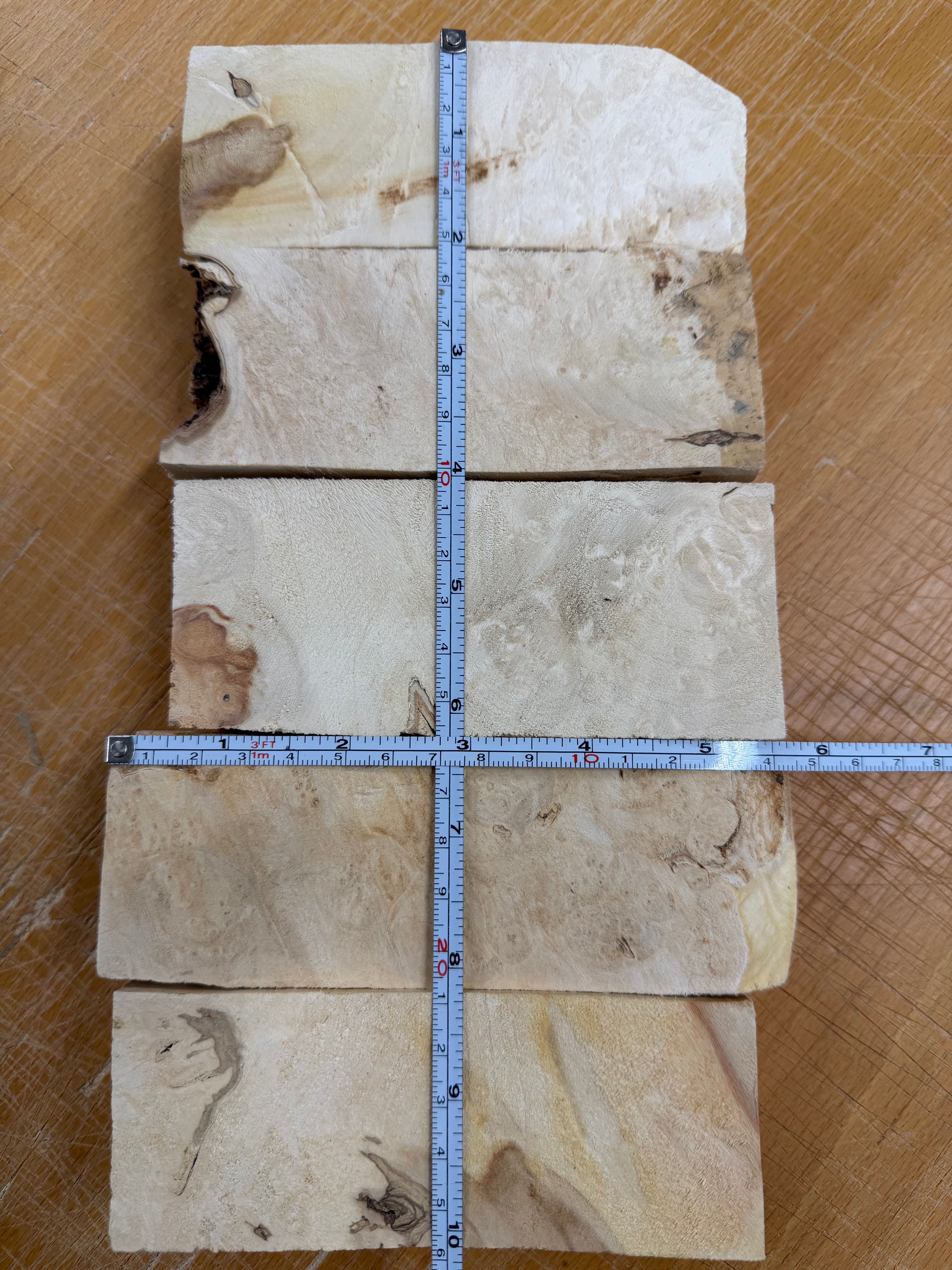 Box Elder skaftämne 5-pack- BEP5-104