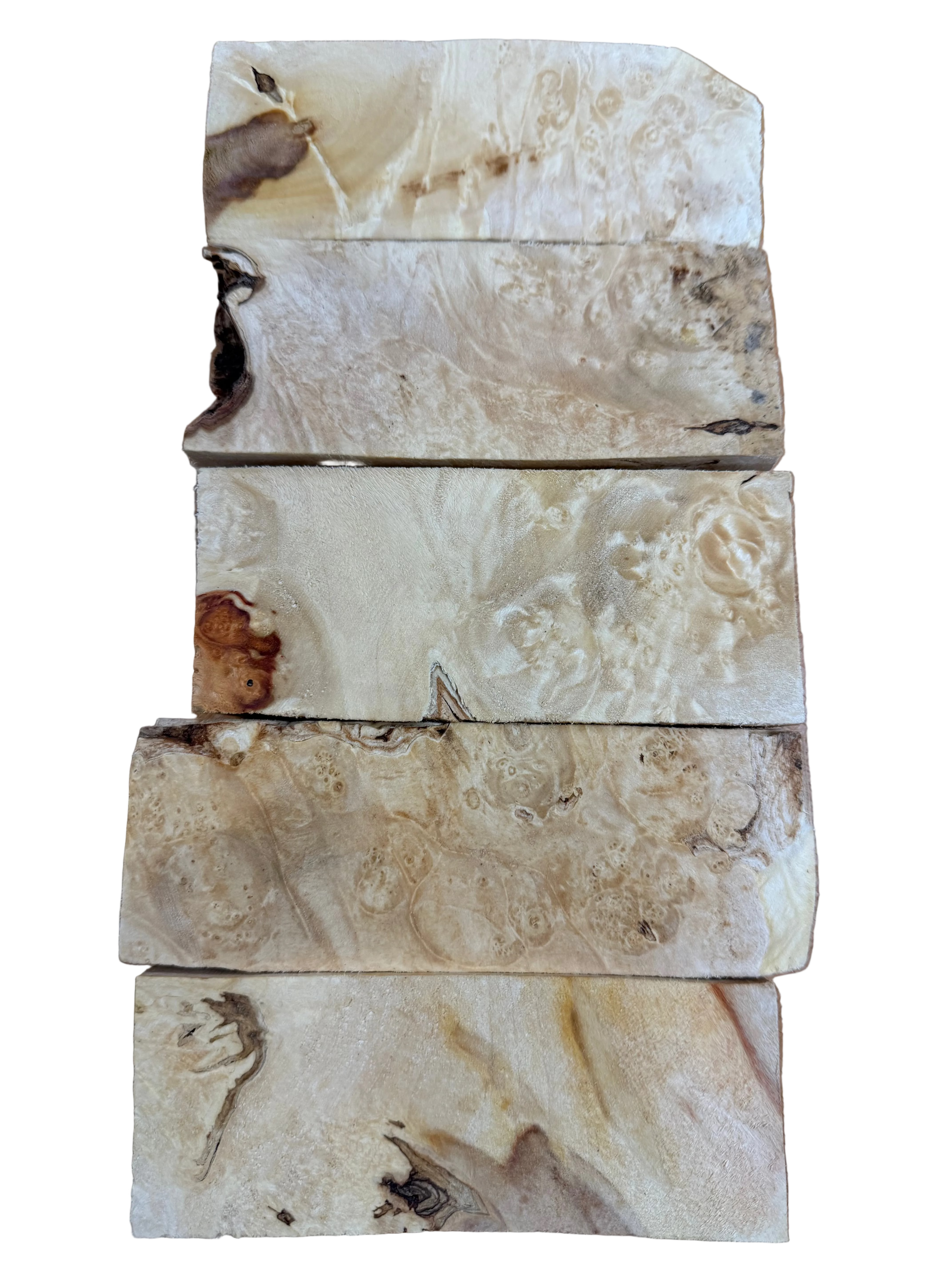 Box Elder skaftämne 5-pack- BEP5-104