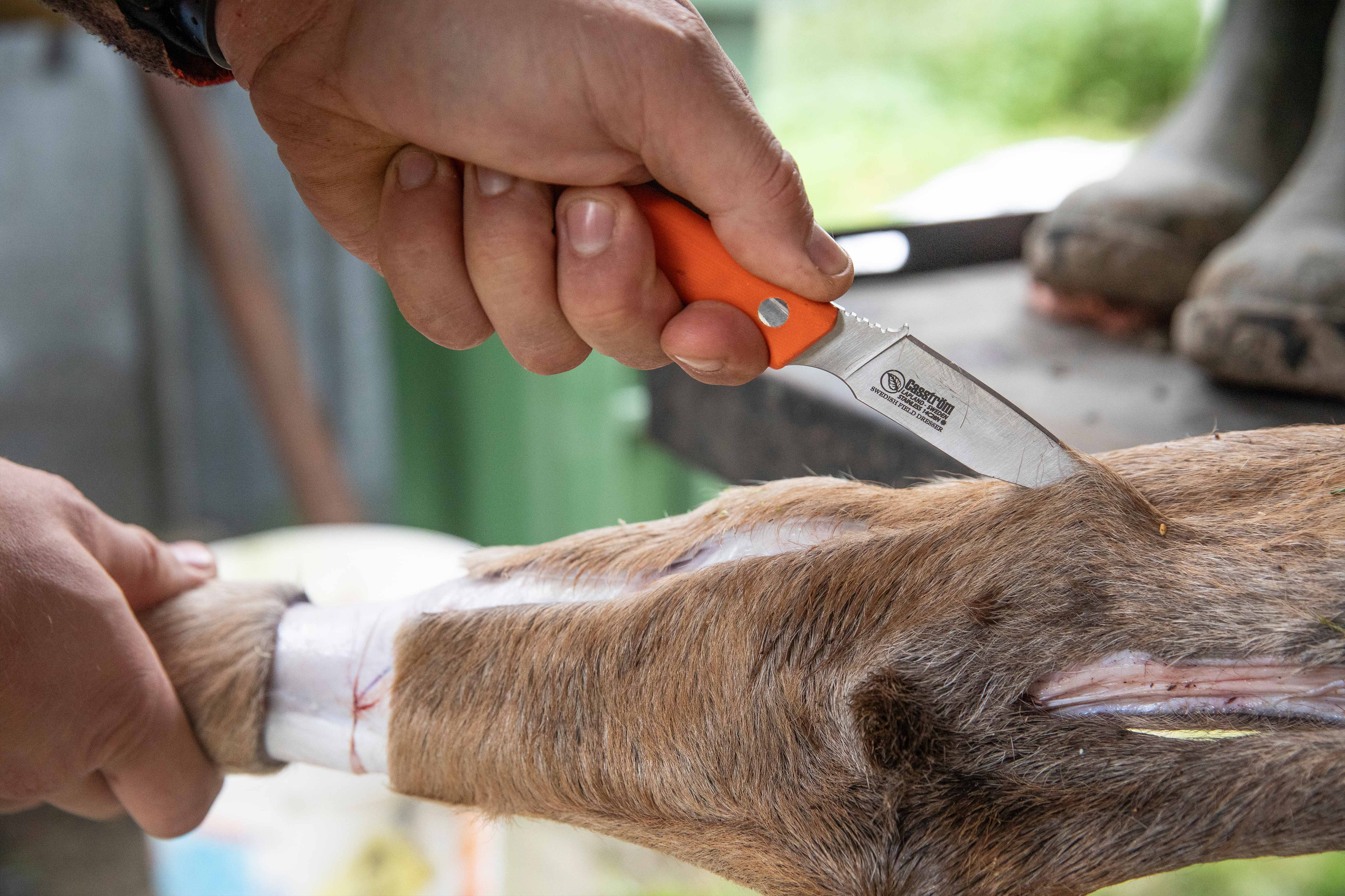 Caström Swedish Field Dresser Knife blade