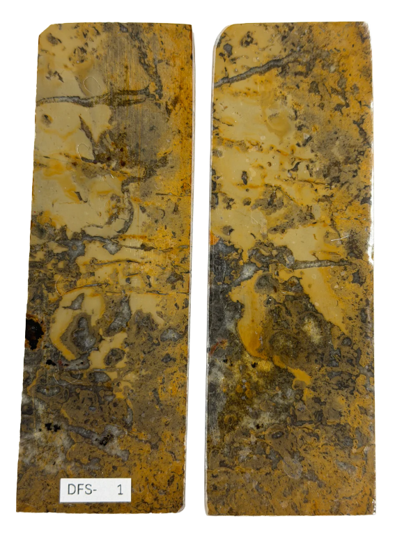 Dinosaur Fossil Shaft Plate Set DFS-1