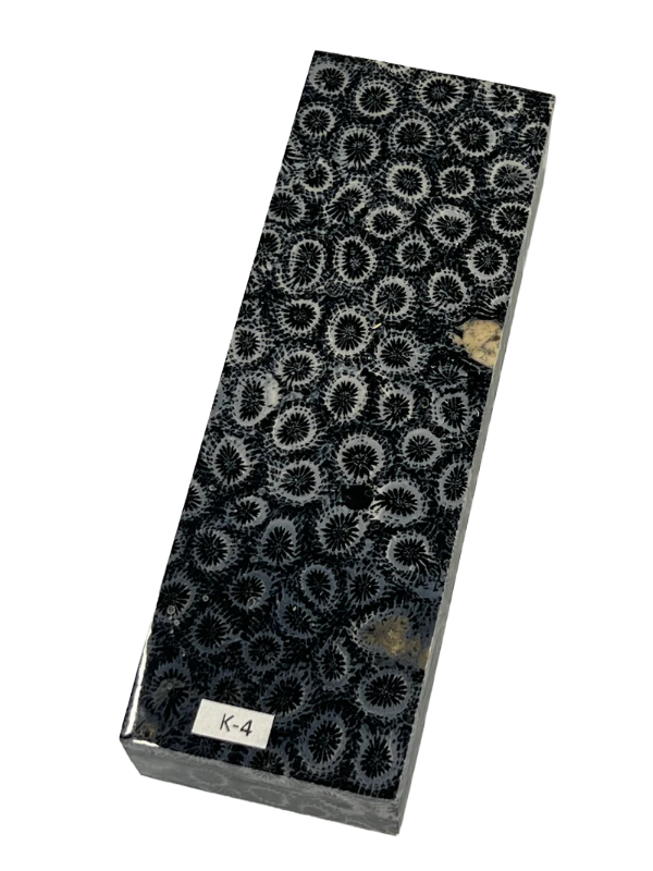 Fossil Coral skaftblank K4 (svart)
