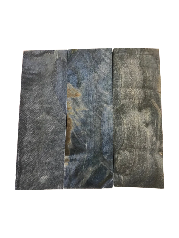 Flame poplar - Blue