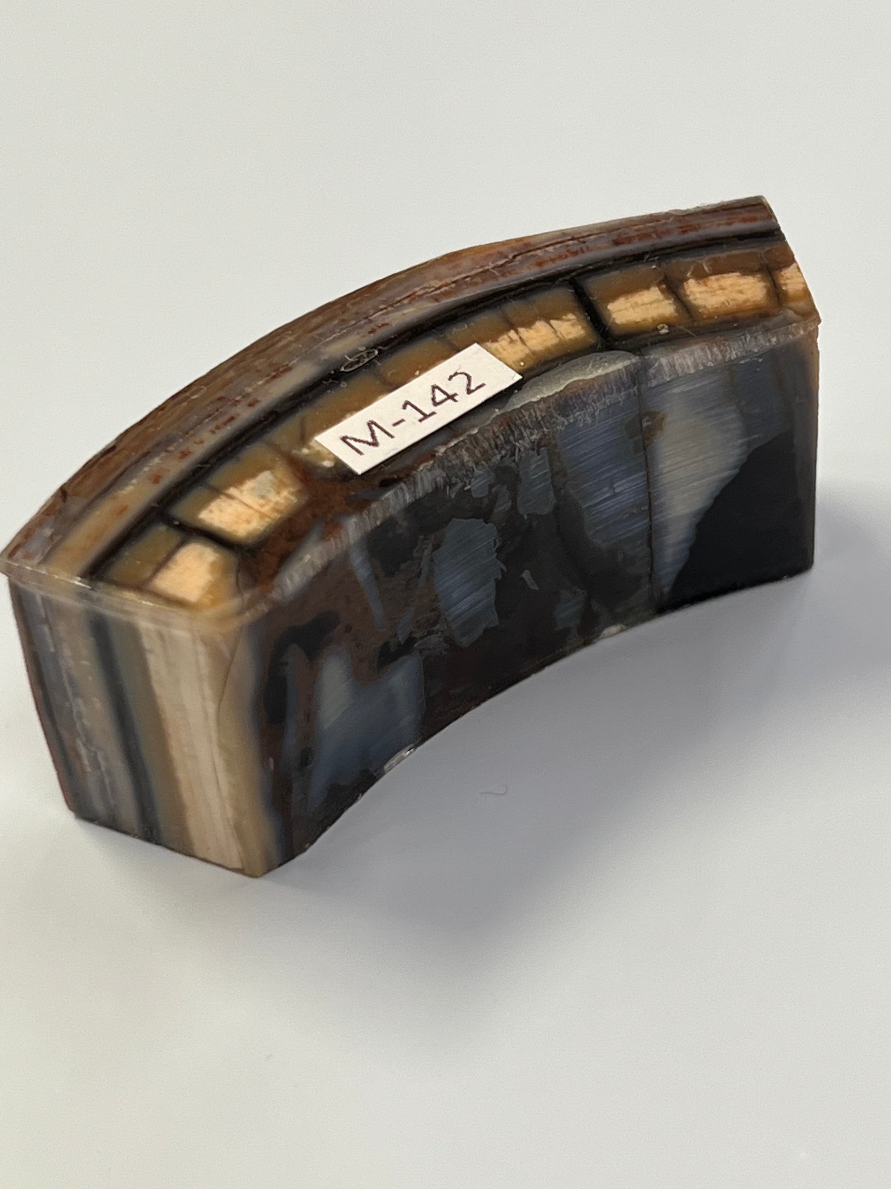 Mammoth tusk blank M142