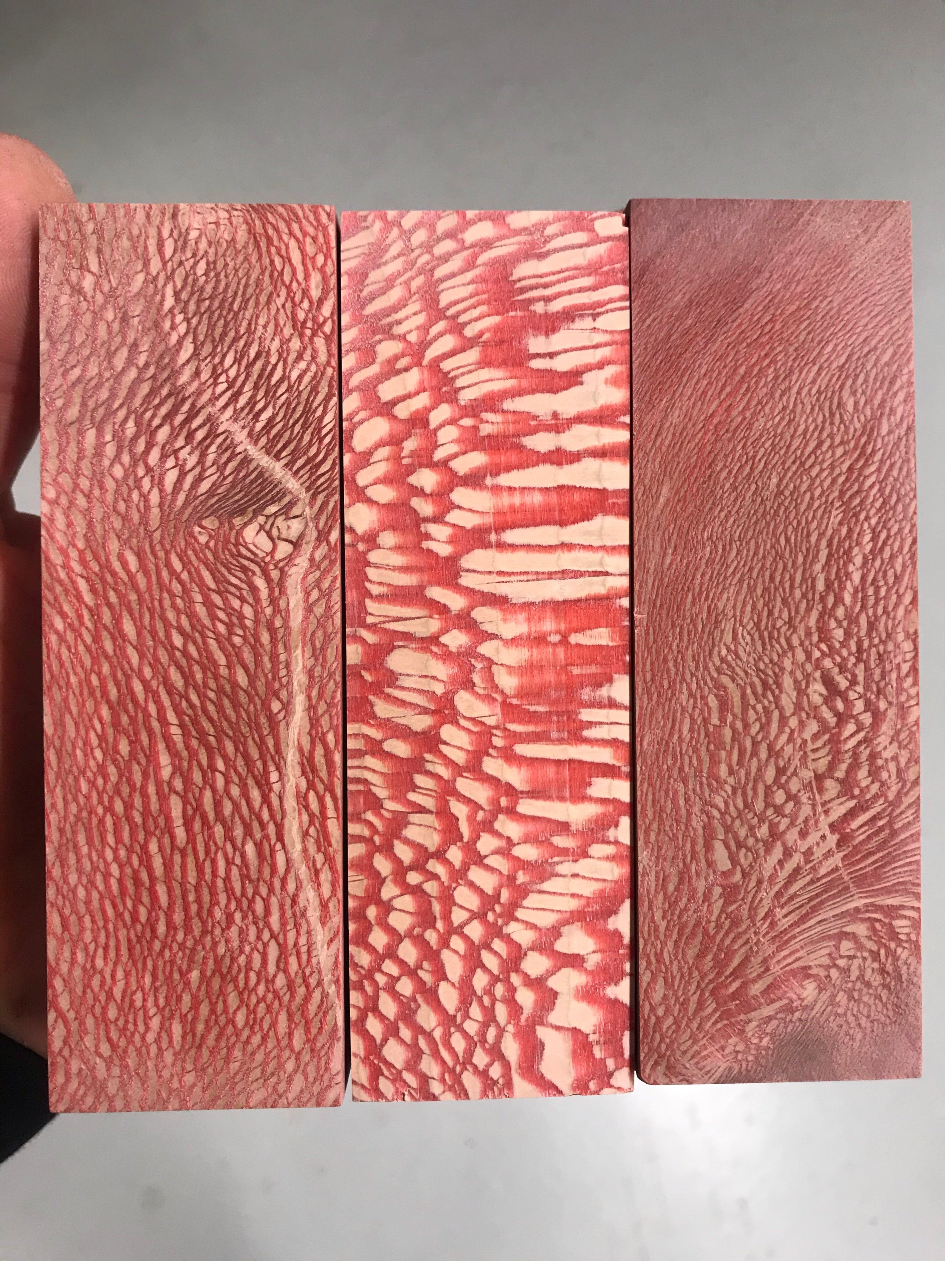Sycamore - Red