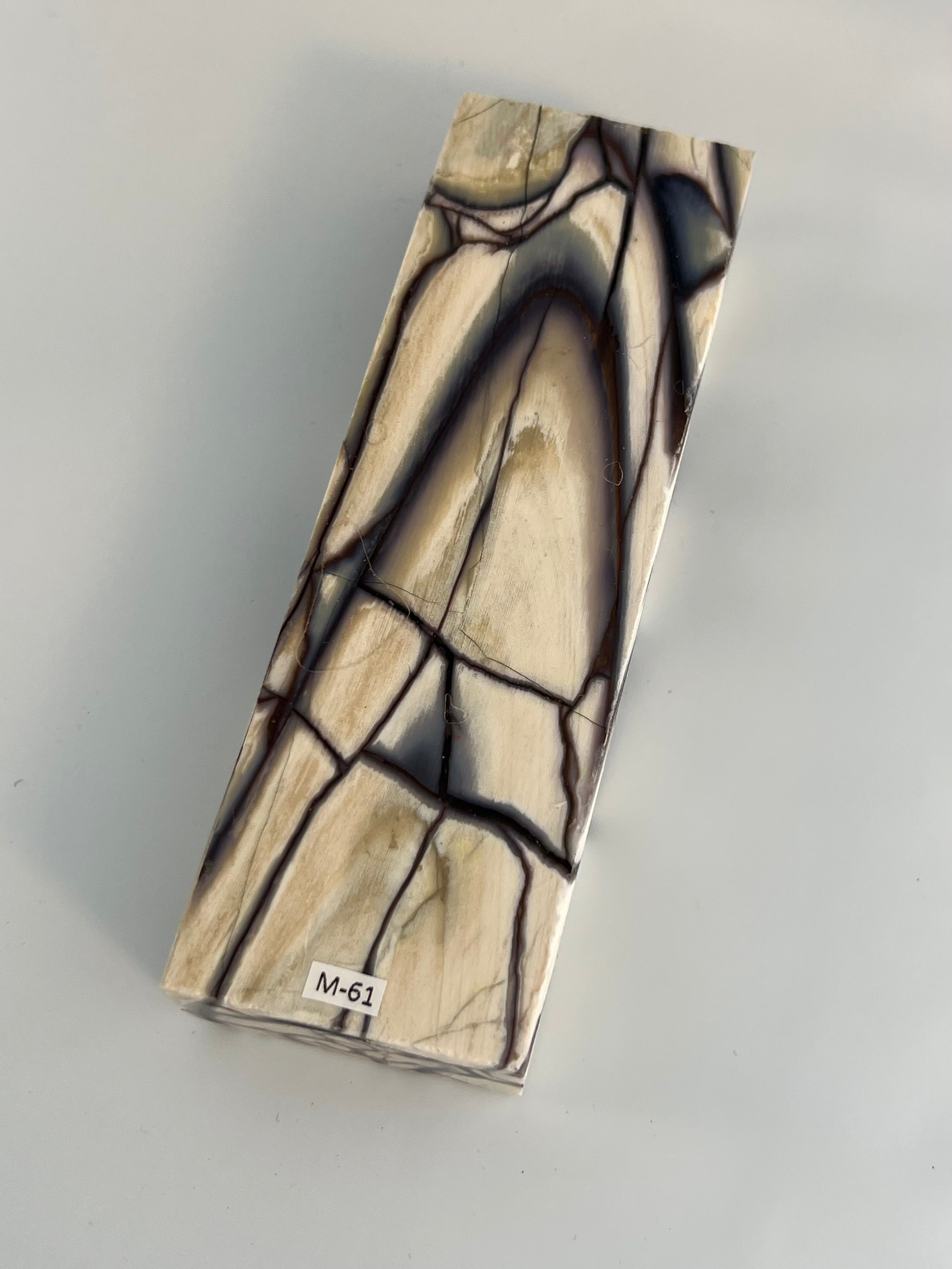 Mammoth tusk shaft blank M61