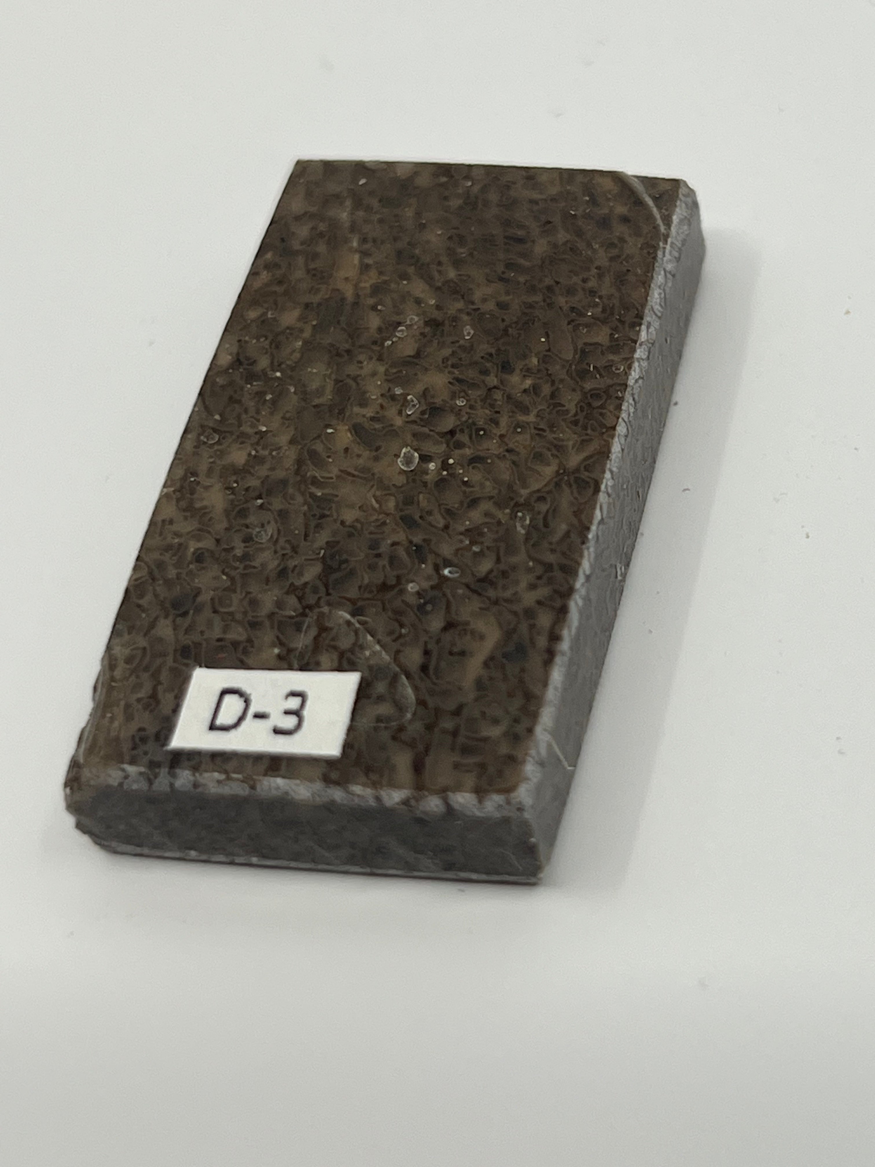 Dinosauriefossil D3