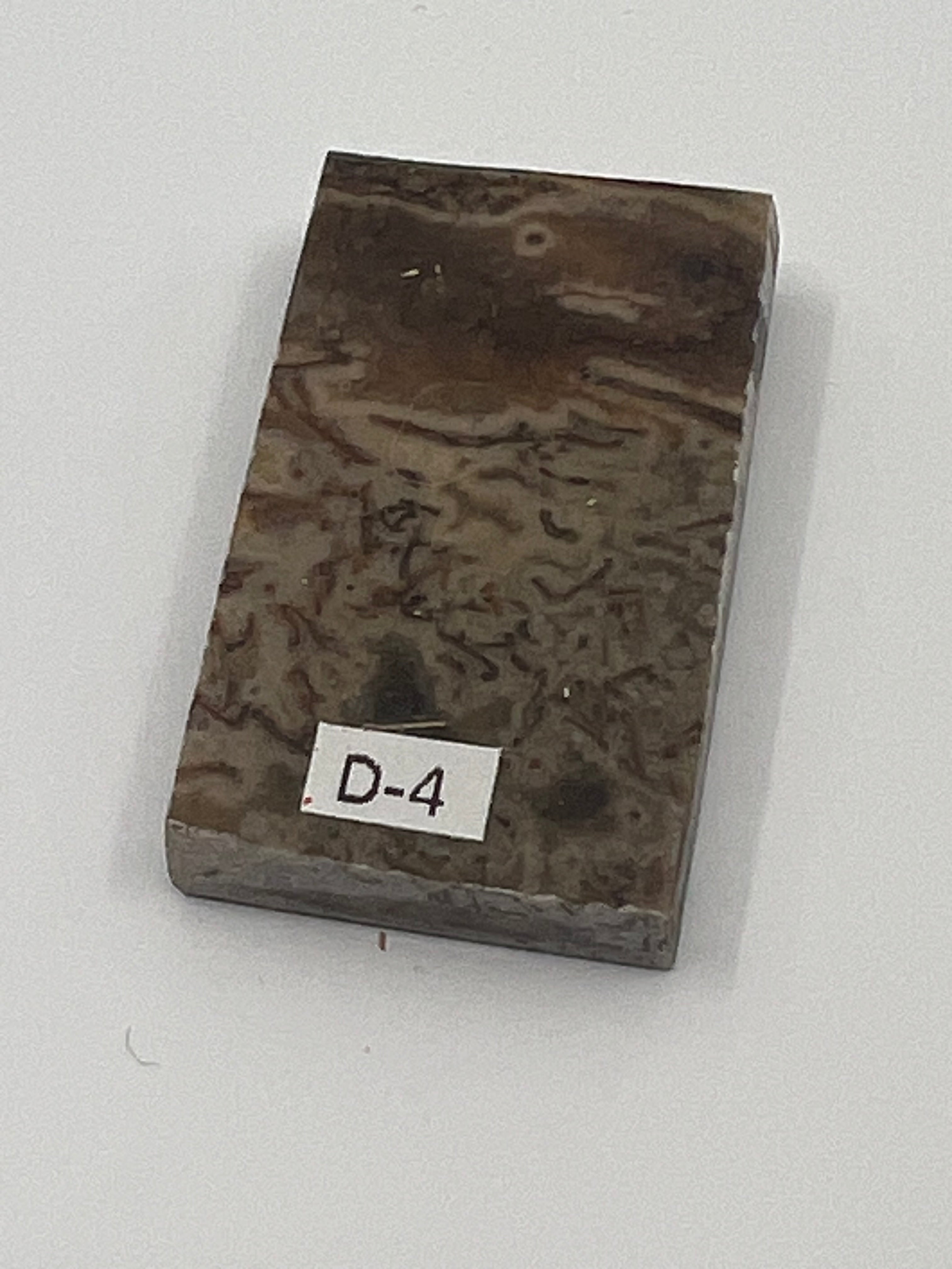 Dinosauriefossil D4