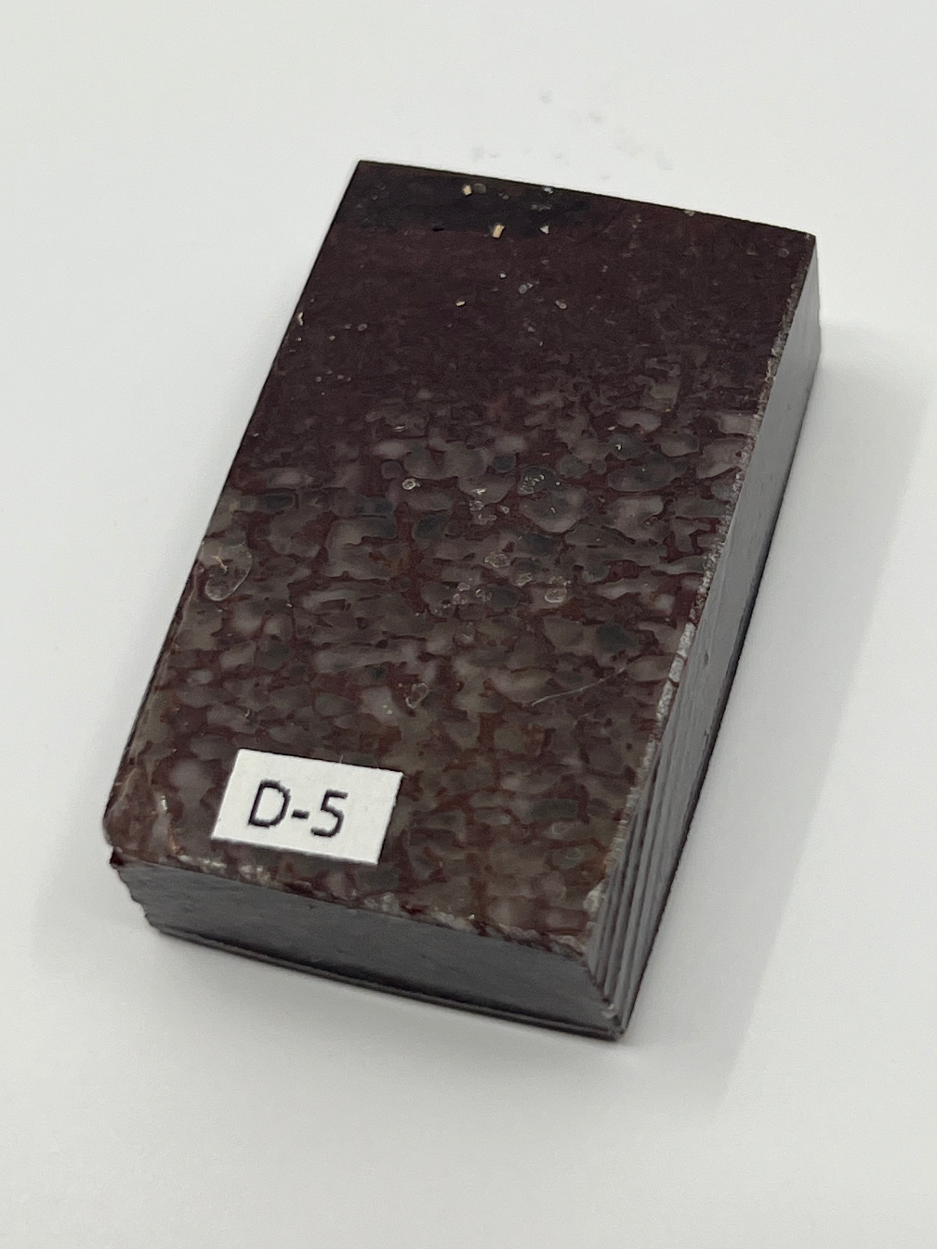 Dinosauriefossil D5