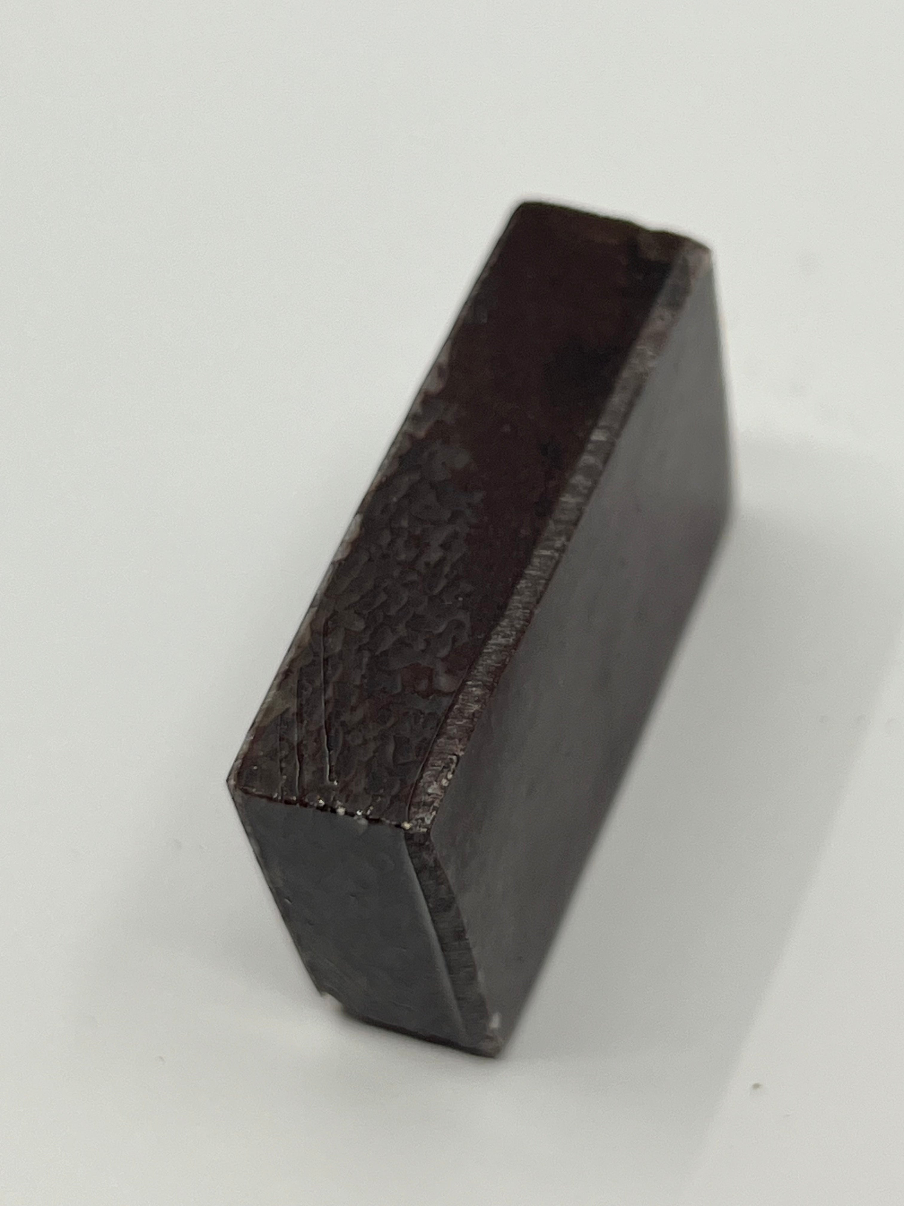 Dinosauriefossil D5