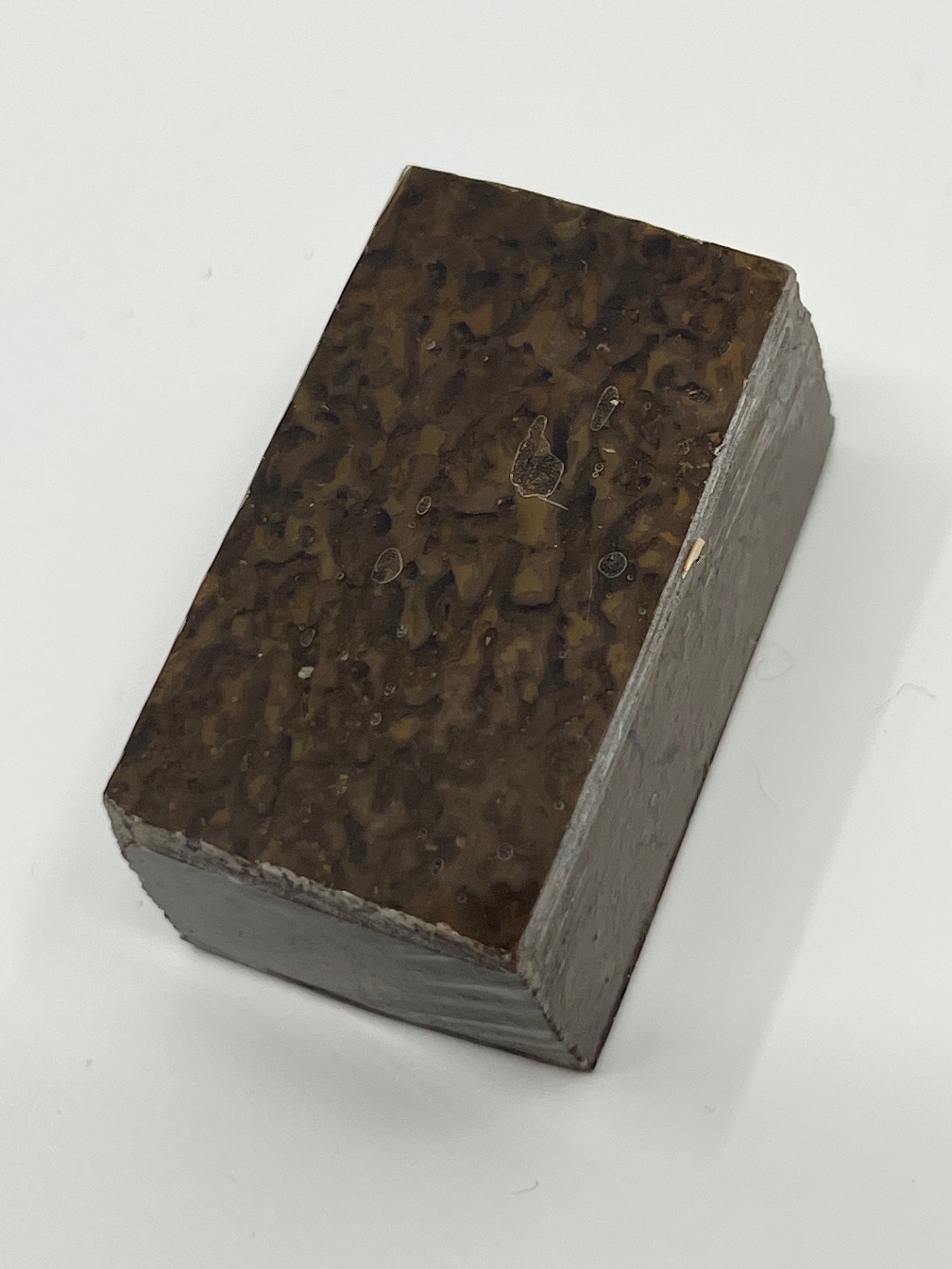 Dinosauriefossil D9