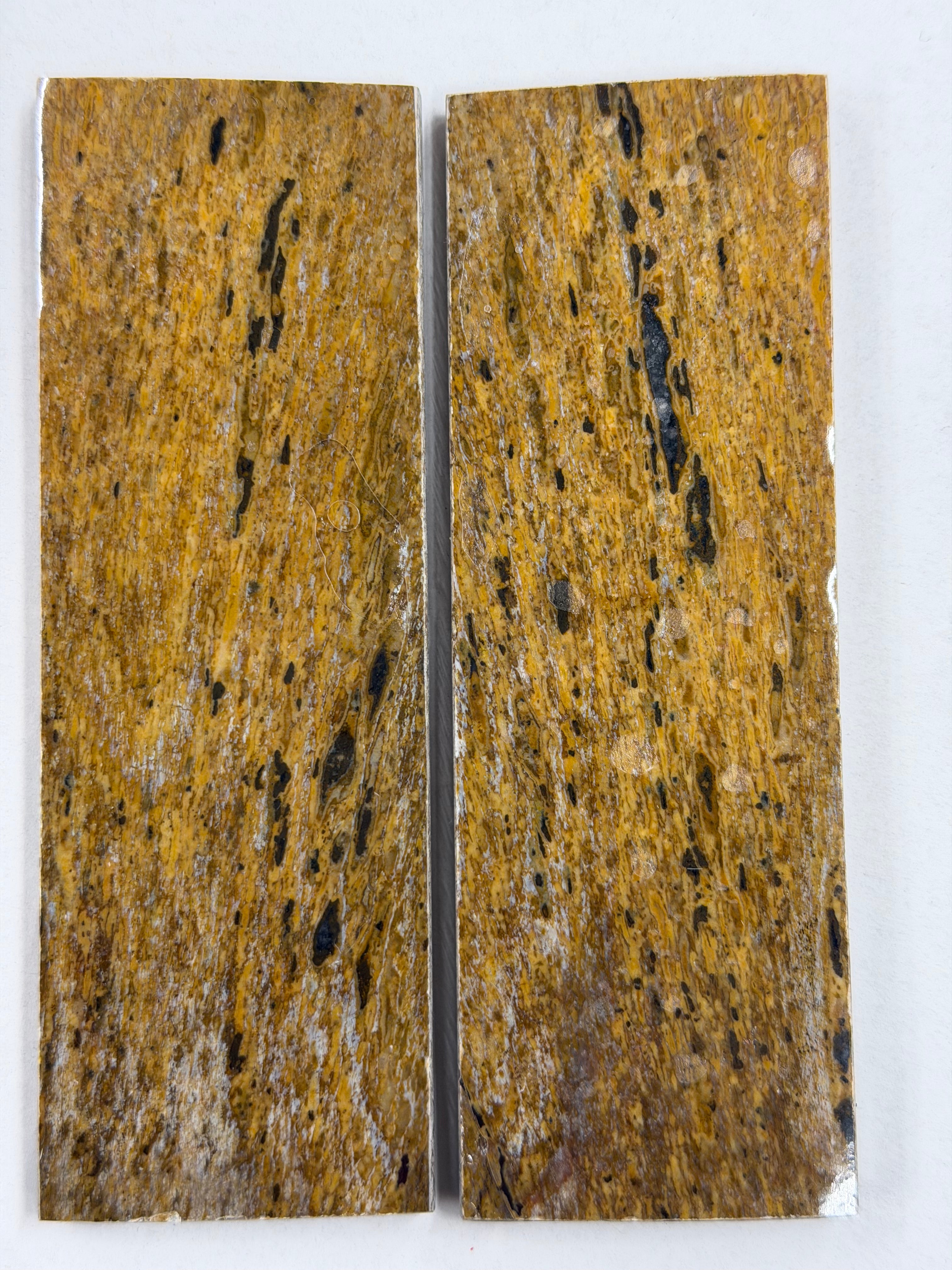 Dinosaur Fossil Skaftplatesett DFS-2