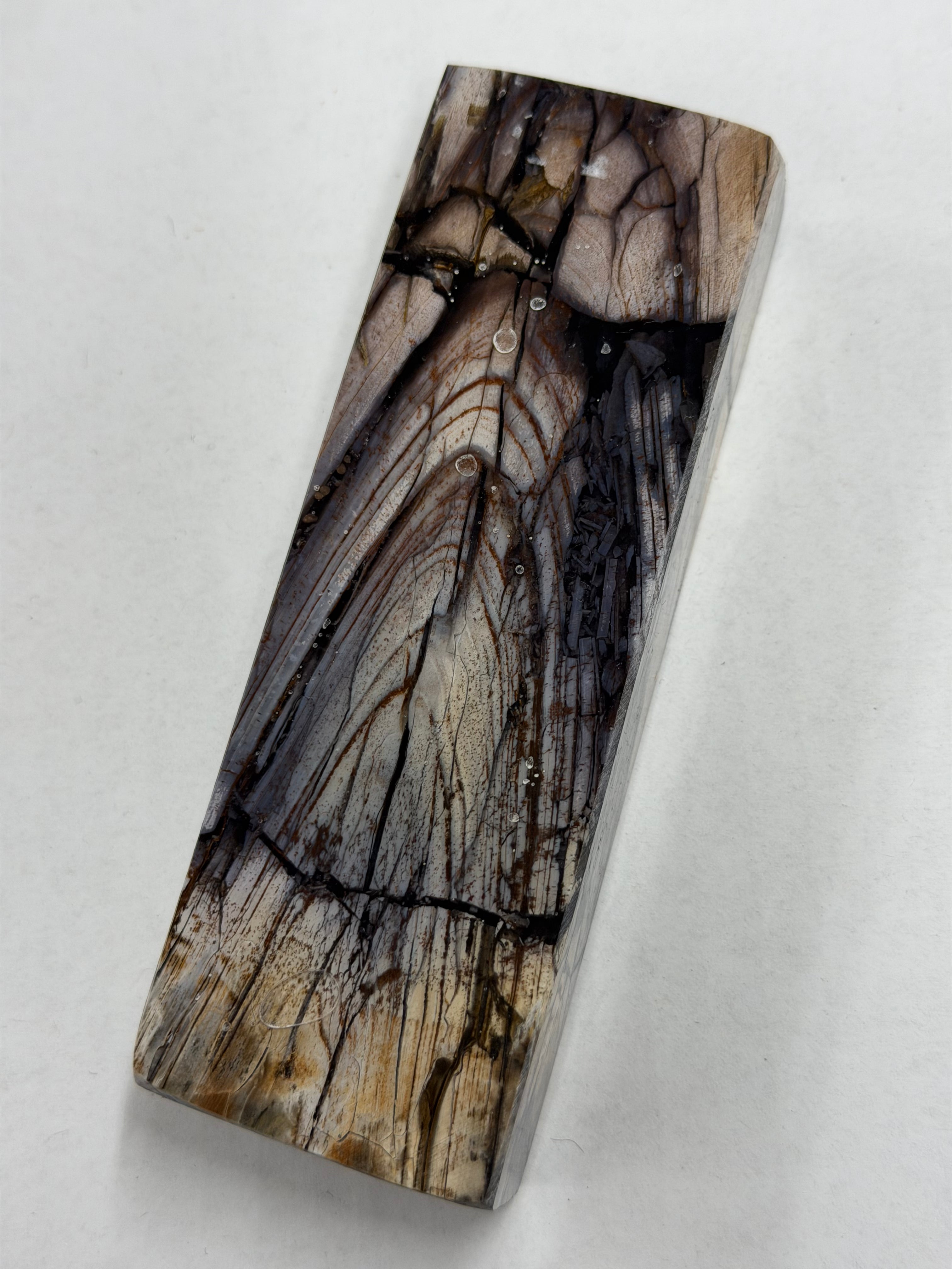 Mammoth tusk skaftämne M241 (Vit)