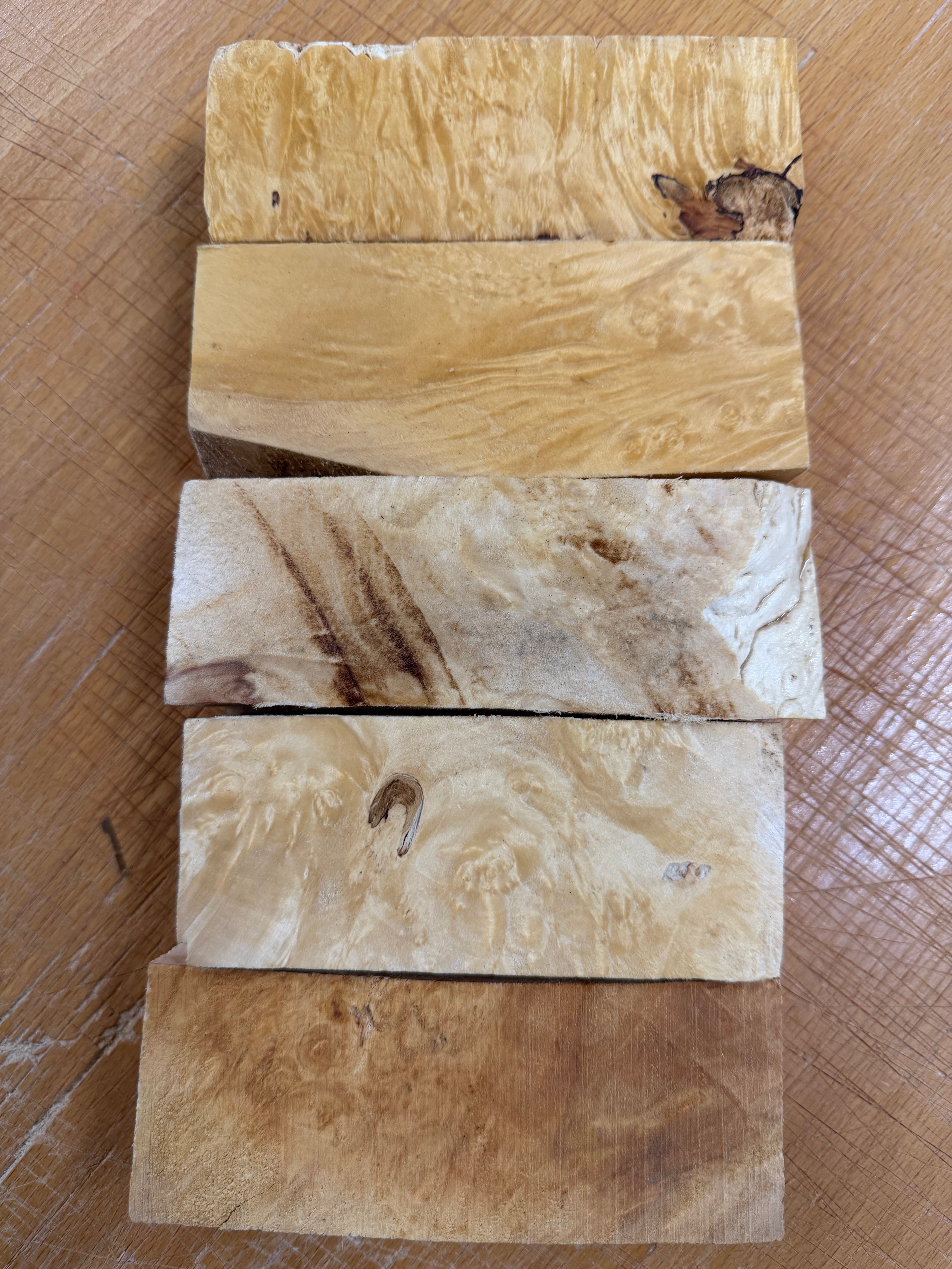 Box Elder Skaftemne 5 pakk- BEP5-105