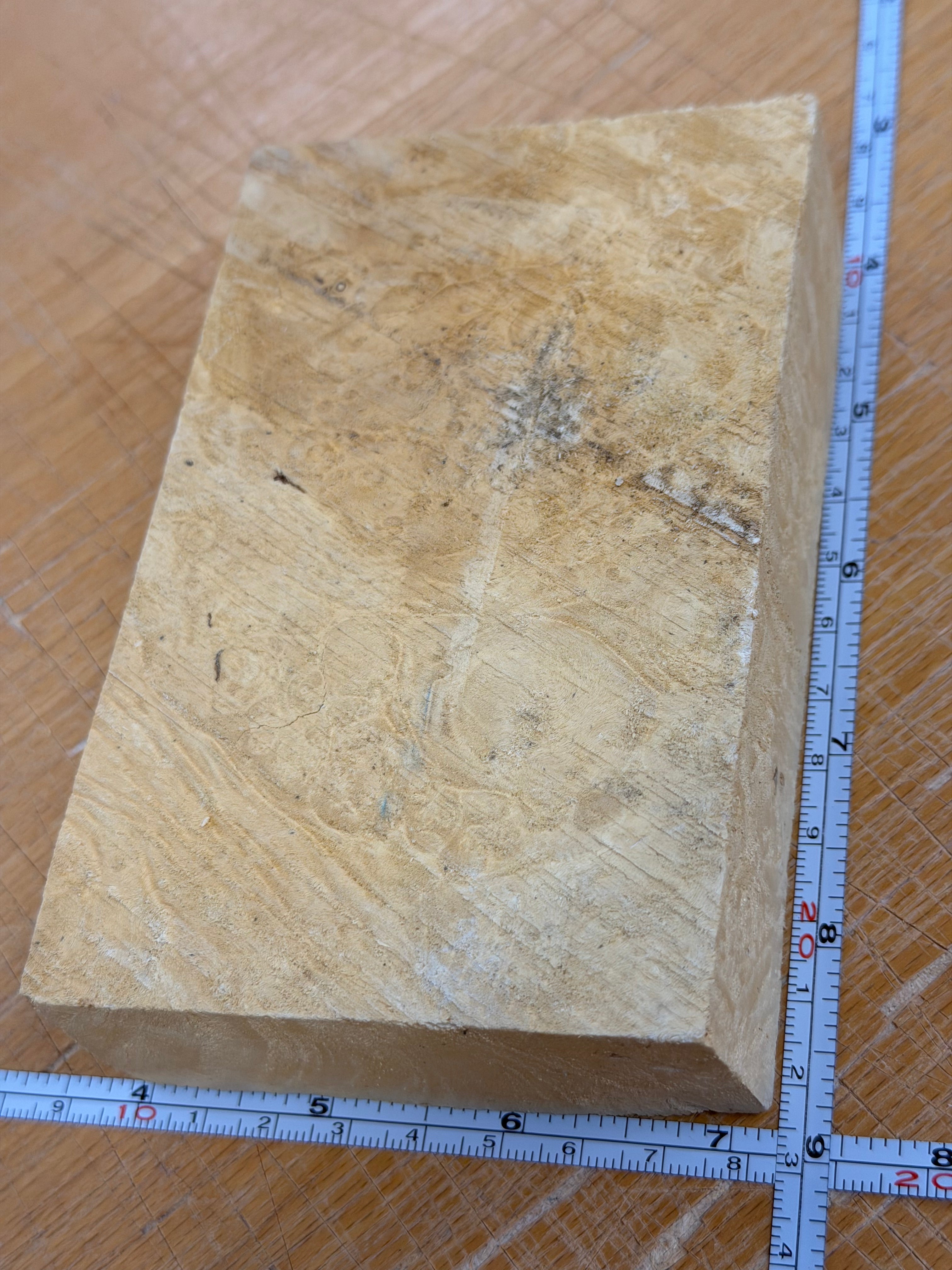 Svart gräshoppablock