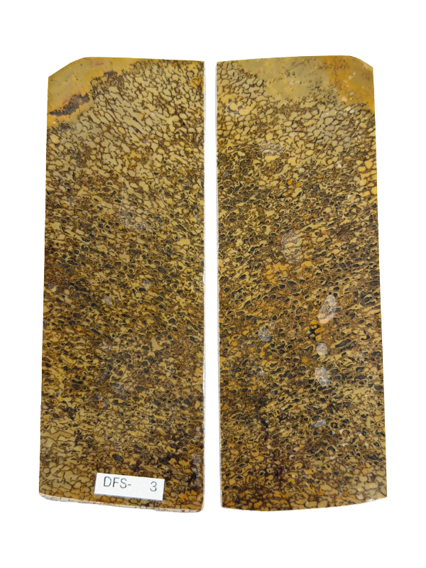 Dinosaurie fossil skaft tallrik set DFS-3