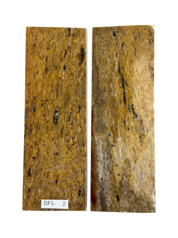 Dinosaurie fossil skaft tallrik set DFS-2