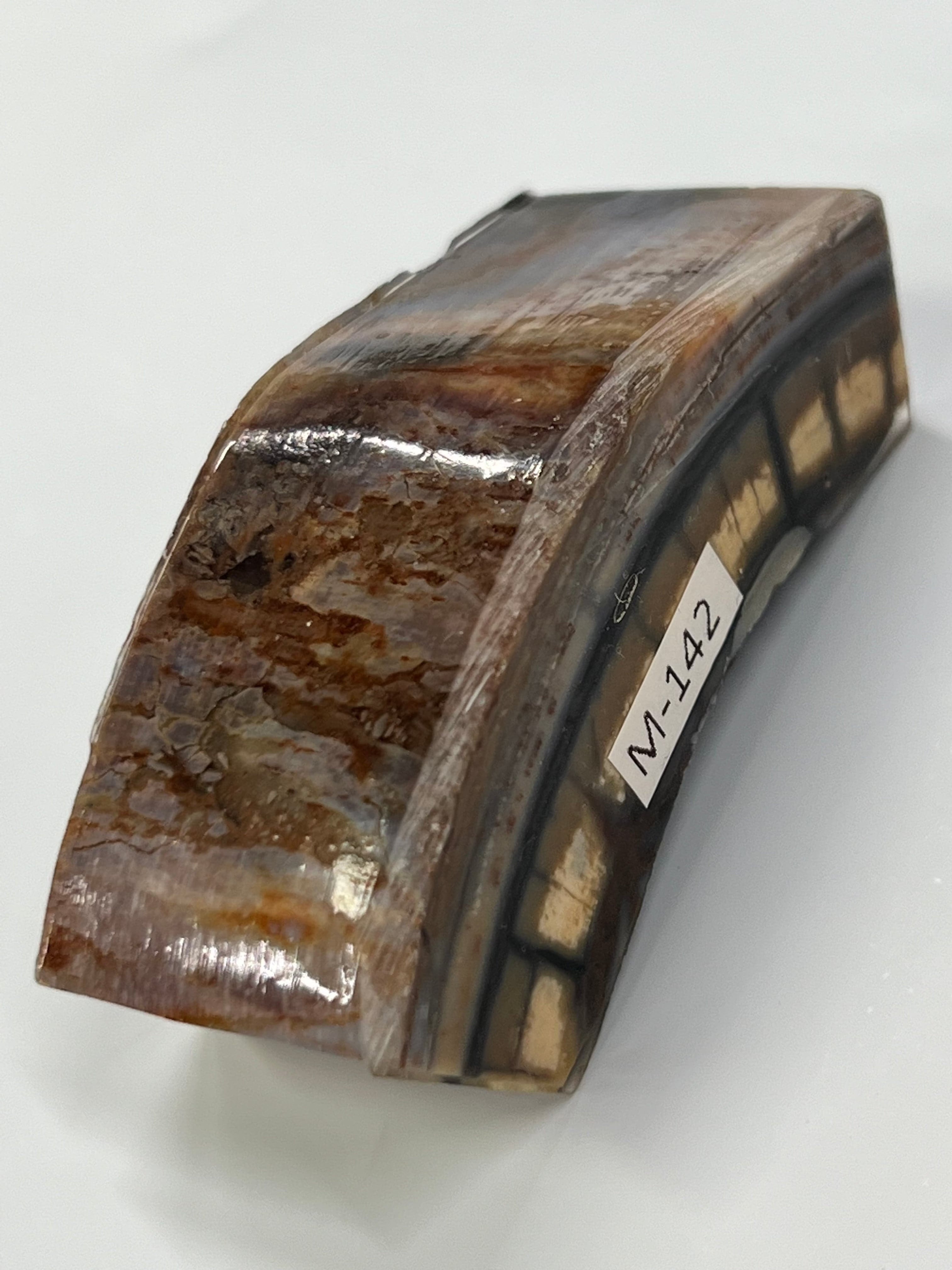 Mammoth tusk blank M142