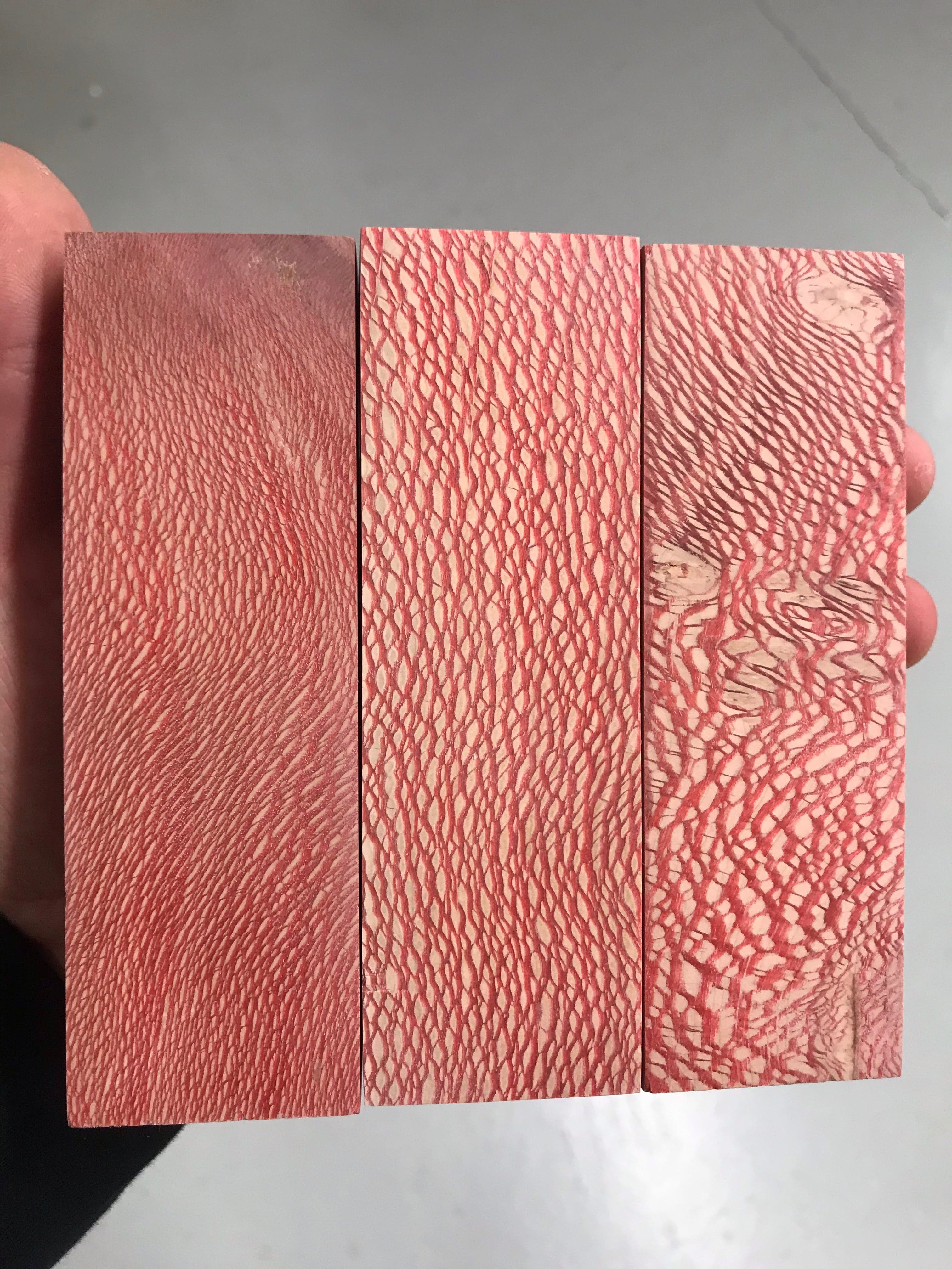 Sycamore - Red
