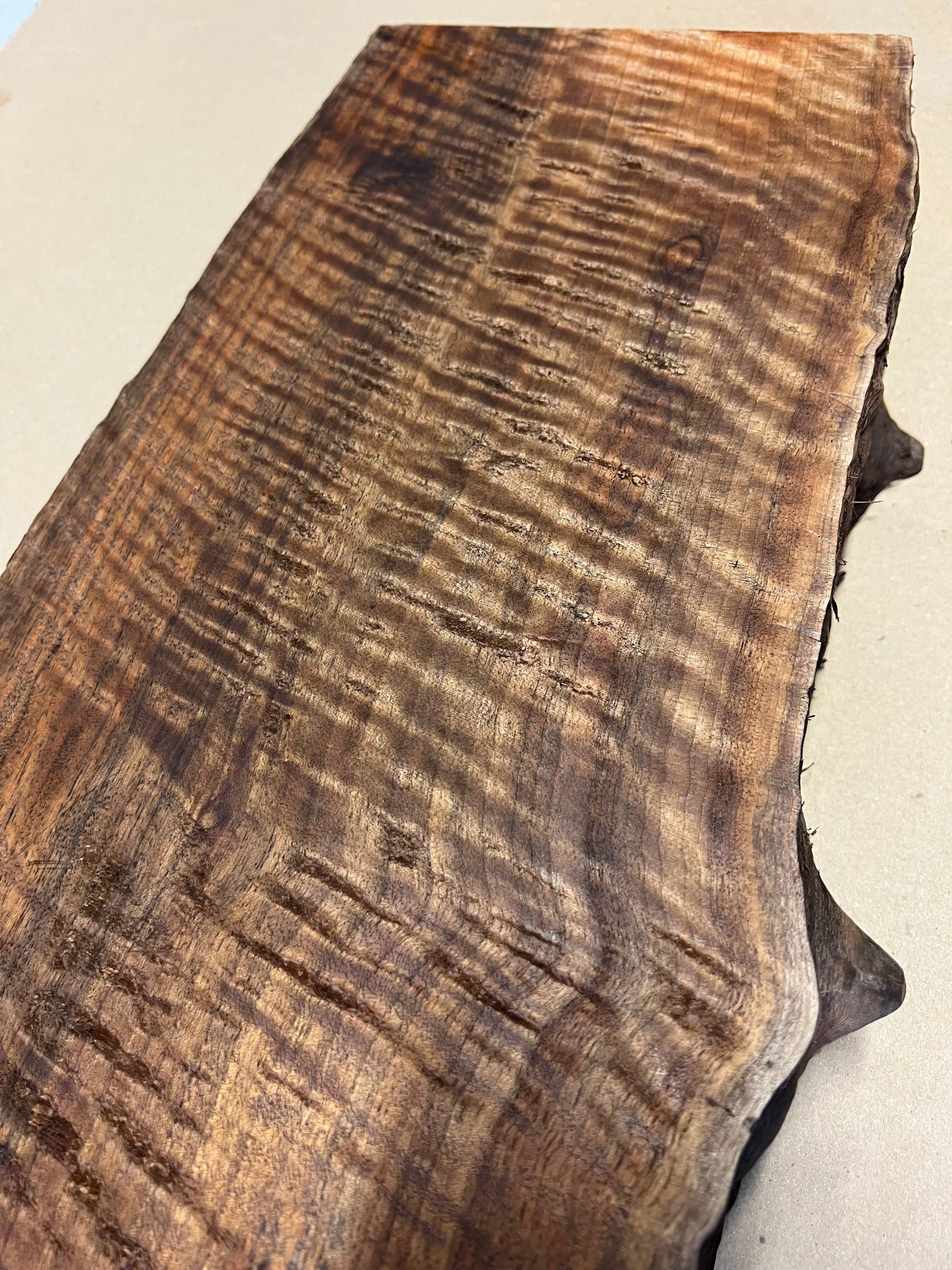 Premium Walnut Large Blank VC02