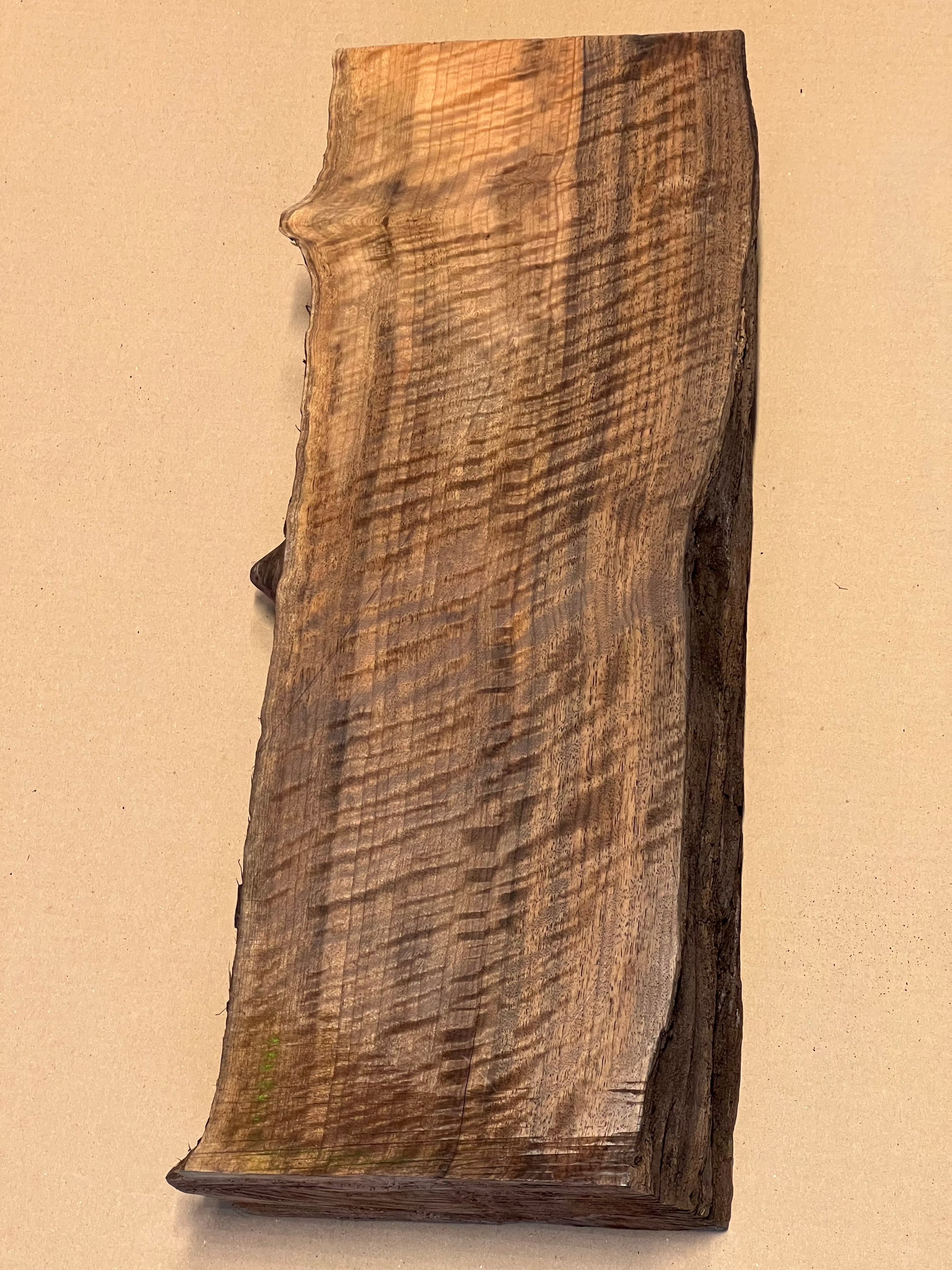 Premium Walnut Large Blank VC02